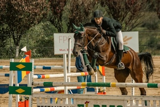 a person riding a horse over a jump