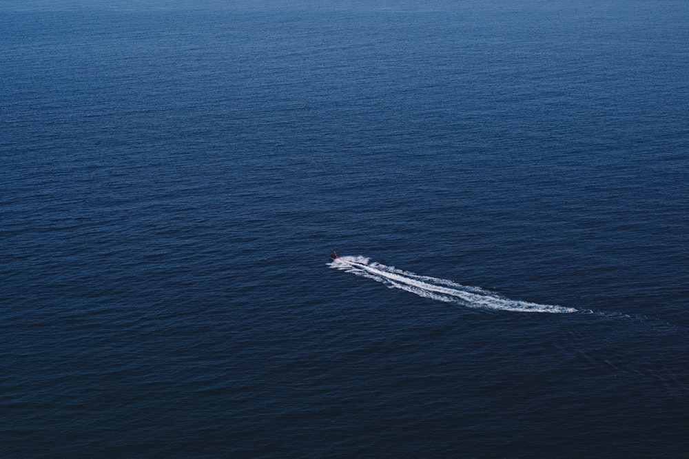 a whale in the ocean