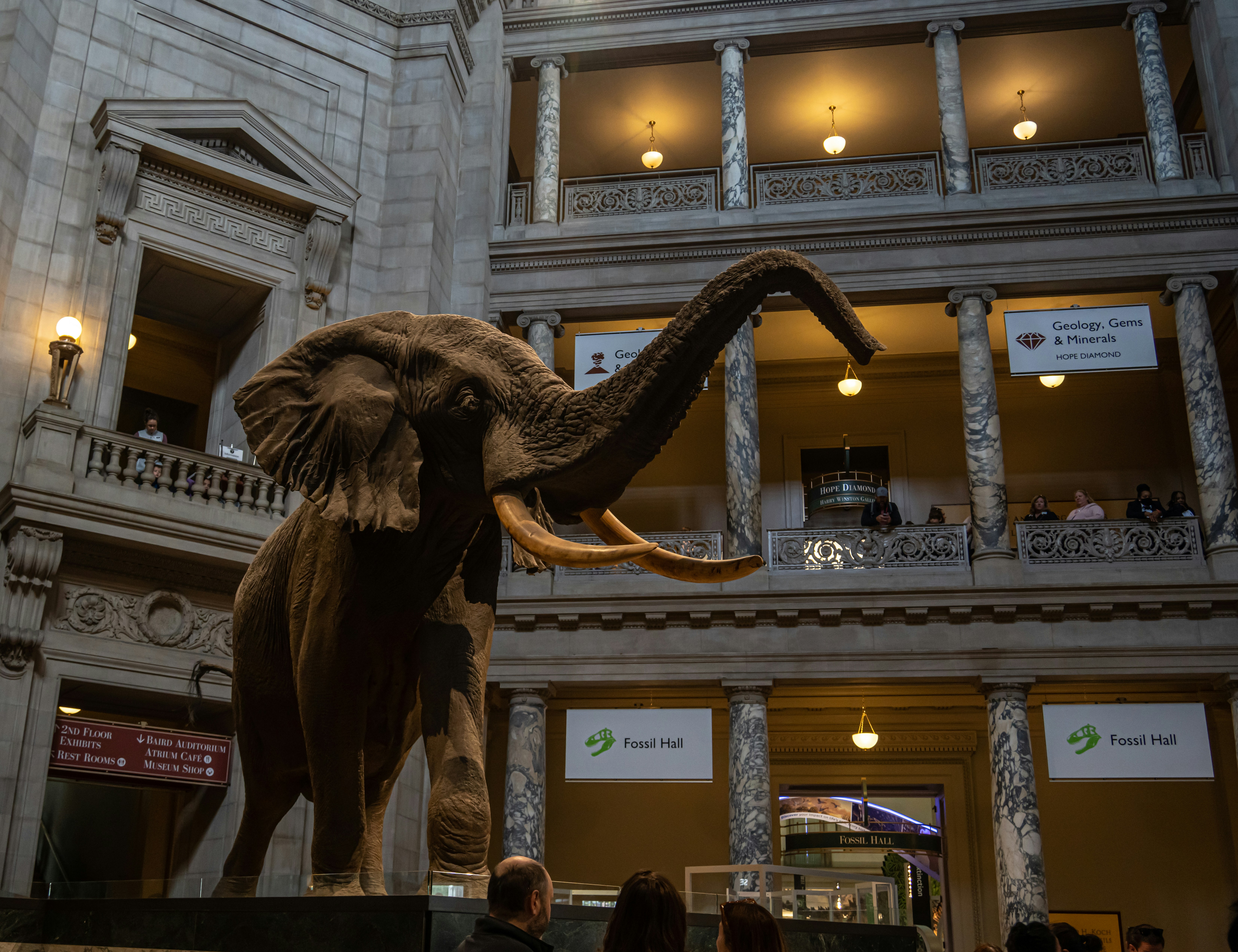 an elephant statue in a building