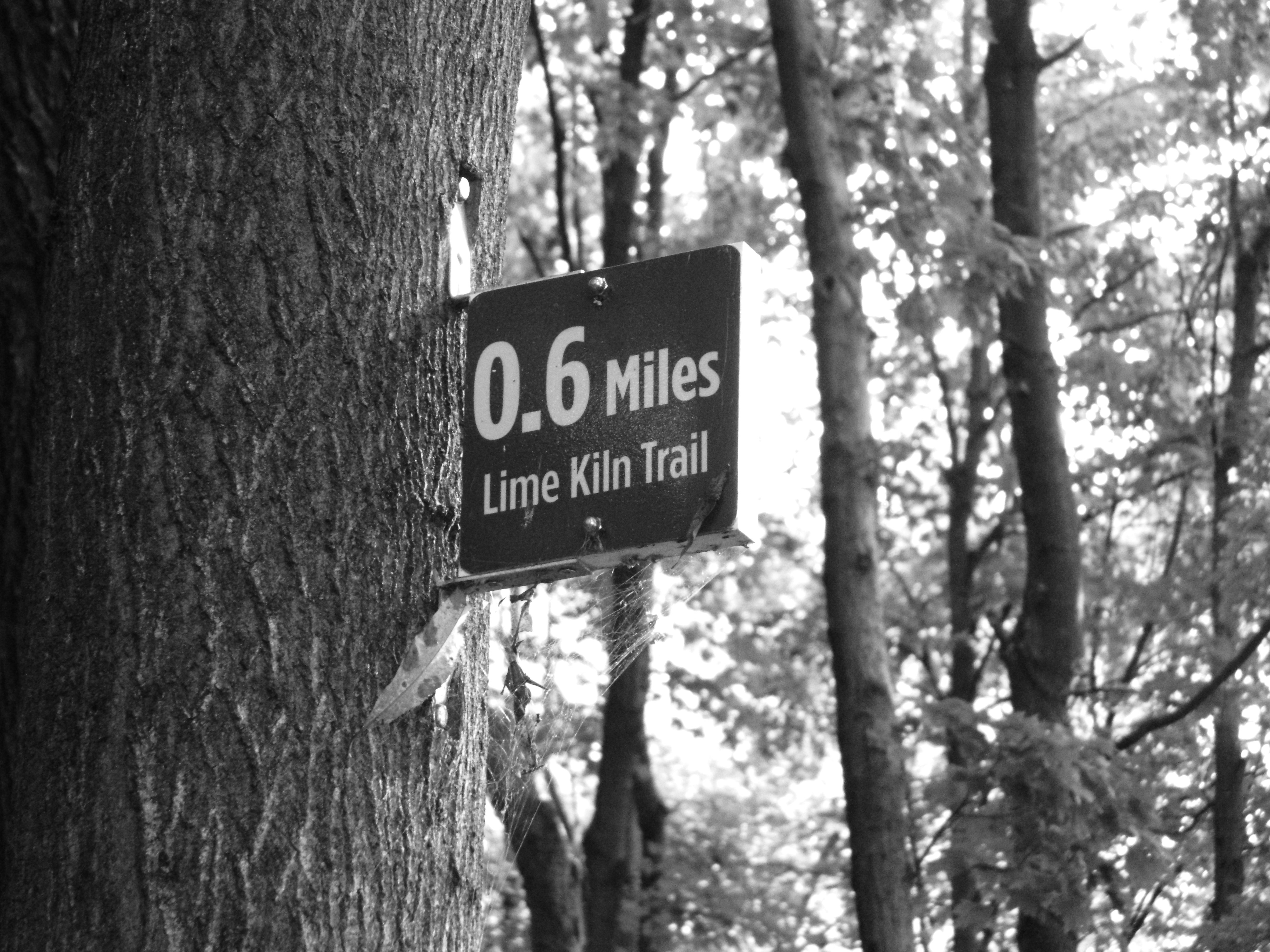 Как нам удалось сохранить наши отношения на расстоянии в течение 3 лет до брака