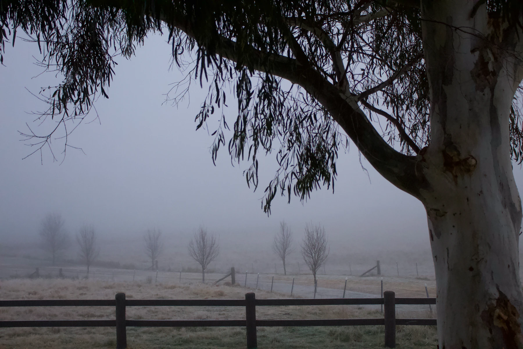Illustrative travel image for Bathurst and Orange in three days: a practical road trip; it does not confirm current conditions at the named stops.