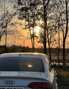 A cozy Tesla Model 3 parked under towering pine trees at a serene state park during golden hour.