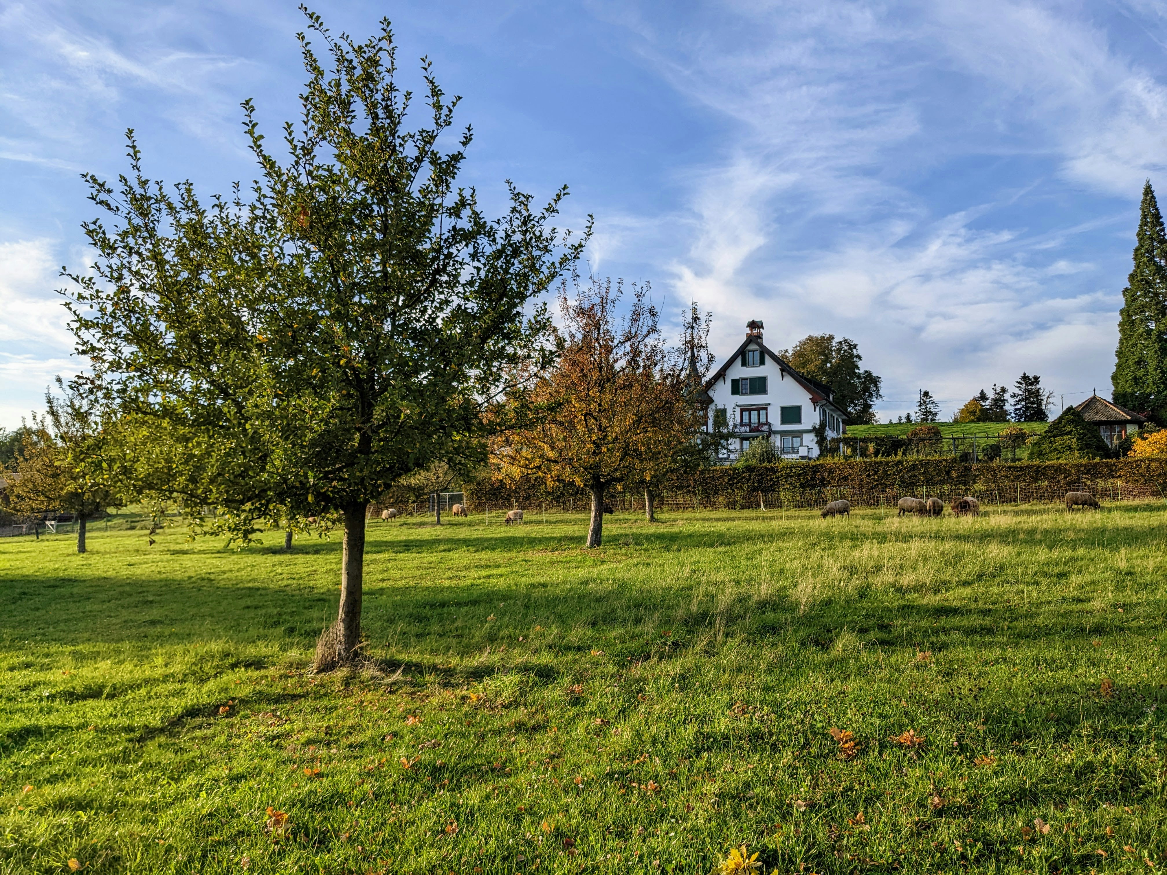 Photo by custom_project