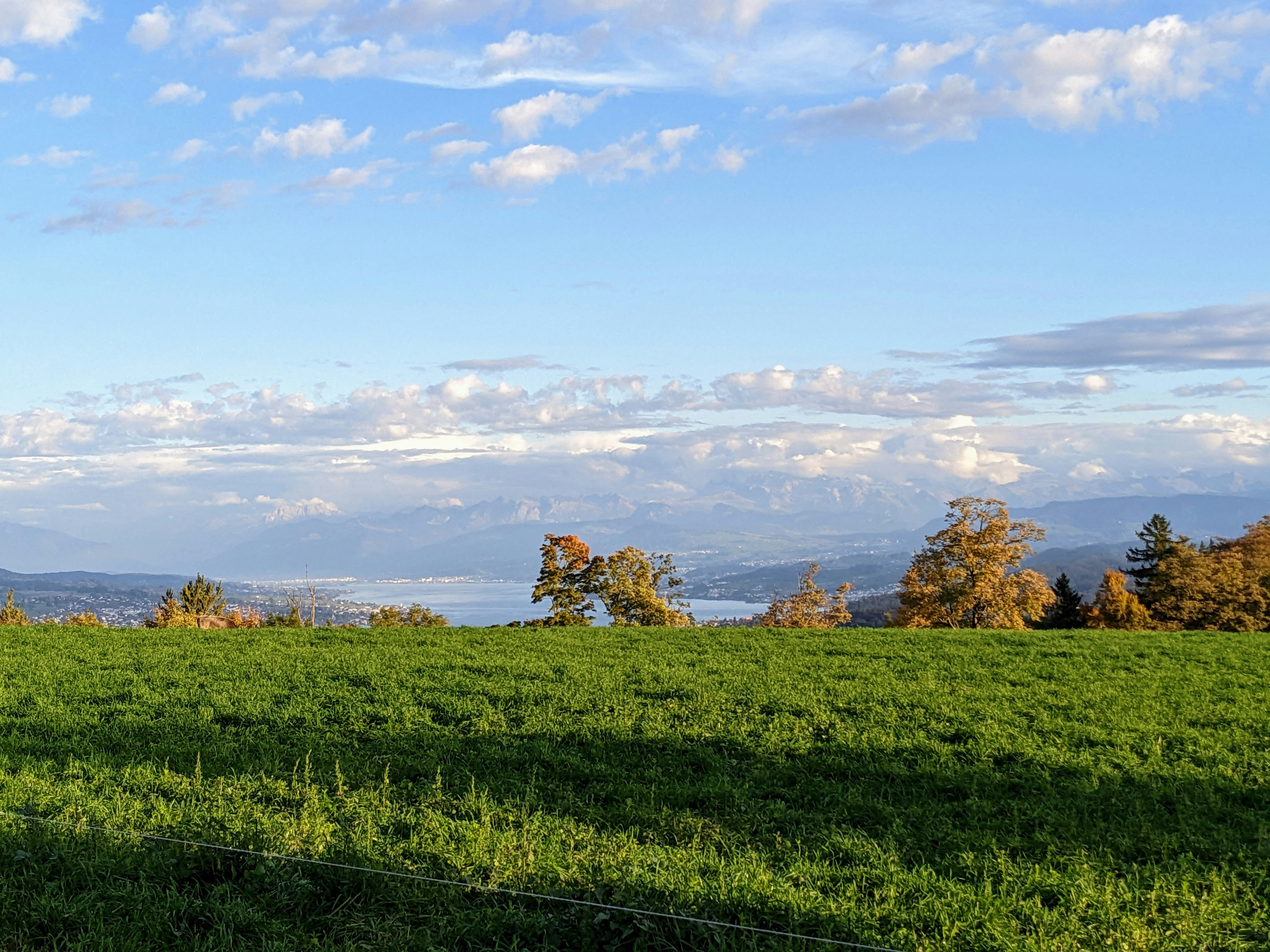 Photo by custom_project