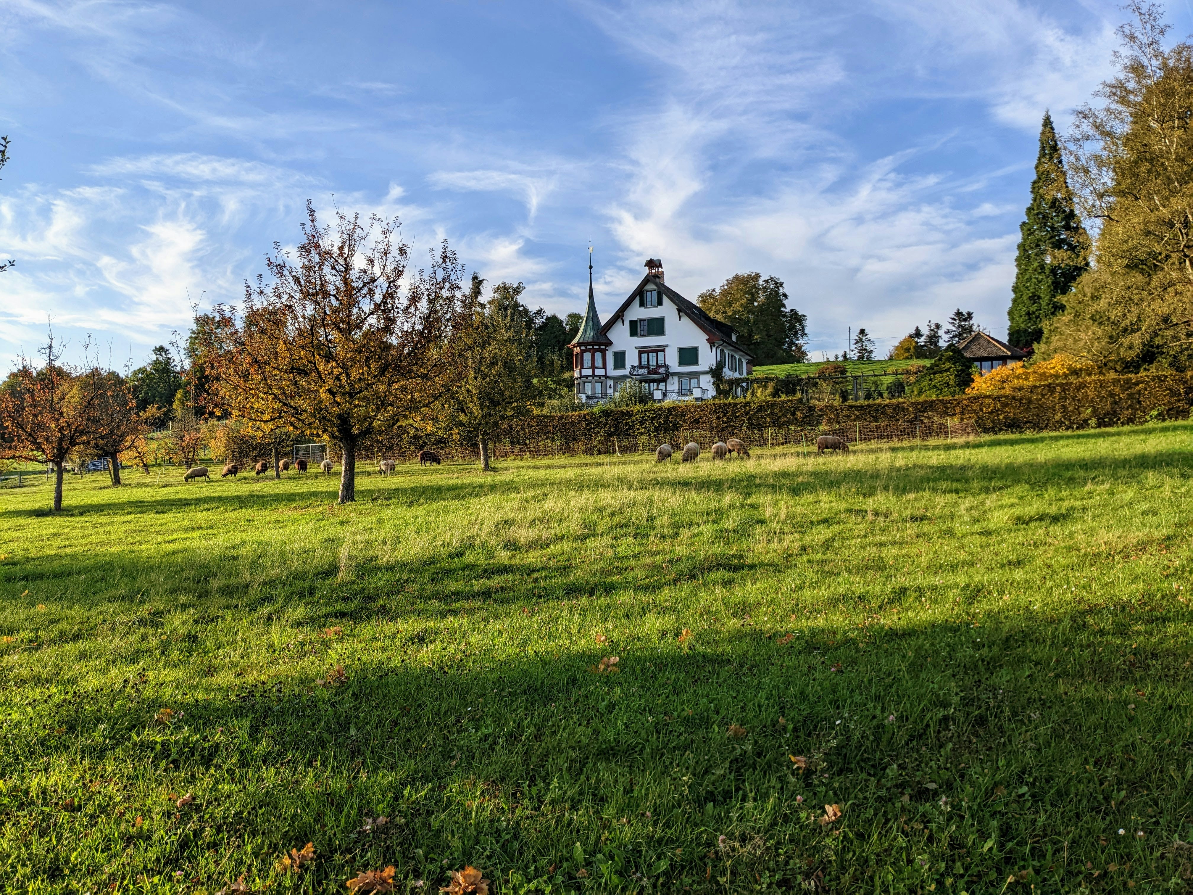 Photo by custom_project