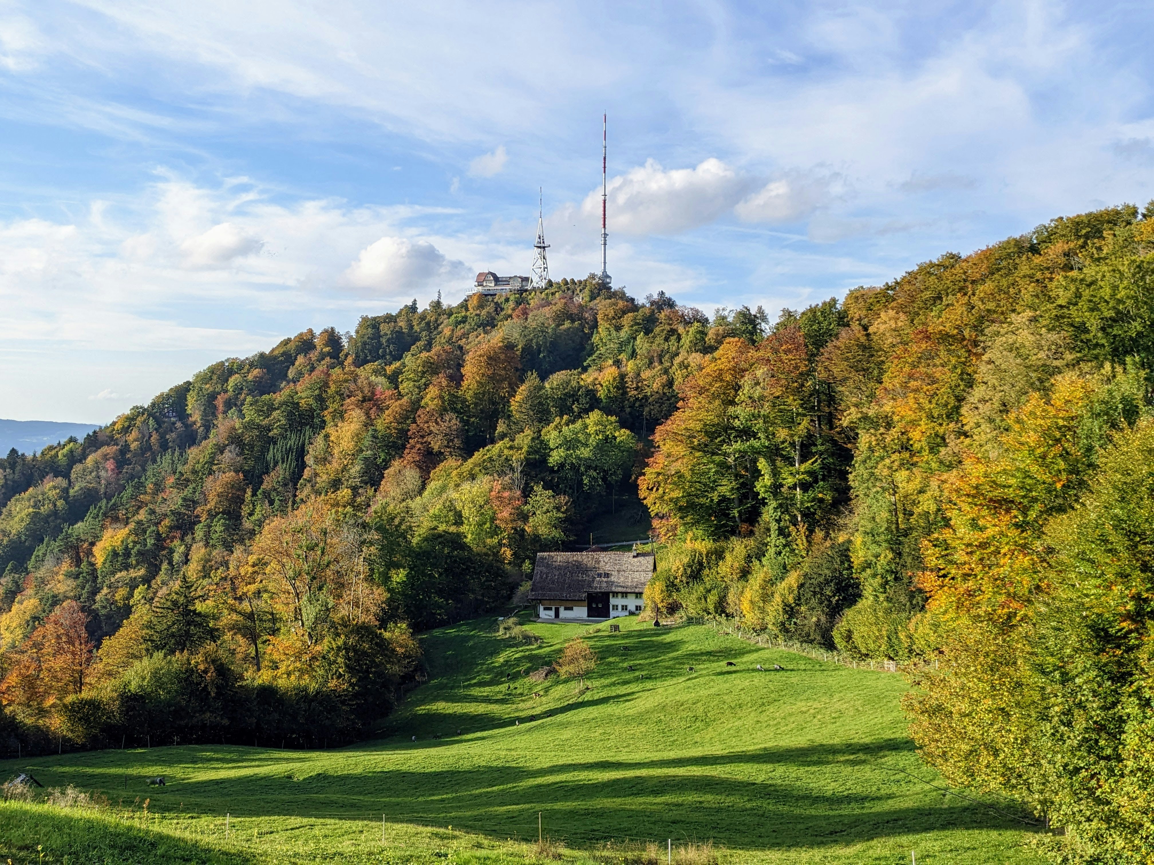 Photo by custom_project