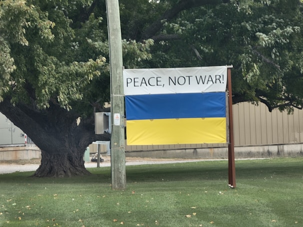 A large sign with the message 'PEACE, NOT WAR!' is displayed, featuring a design similar to the Ukrainian flag with horizontal blue and yellow stripes. The sign is mounted on poles next to a large tree and a building, in a grassy area.