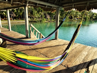 A hammock swaying between two palm trees overlooking crystal-clear turquoise water.