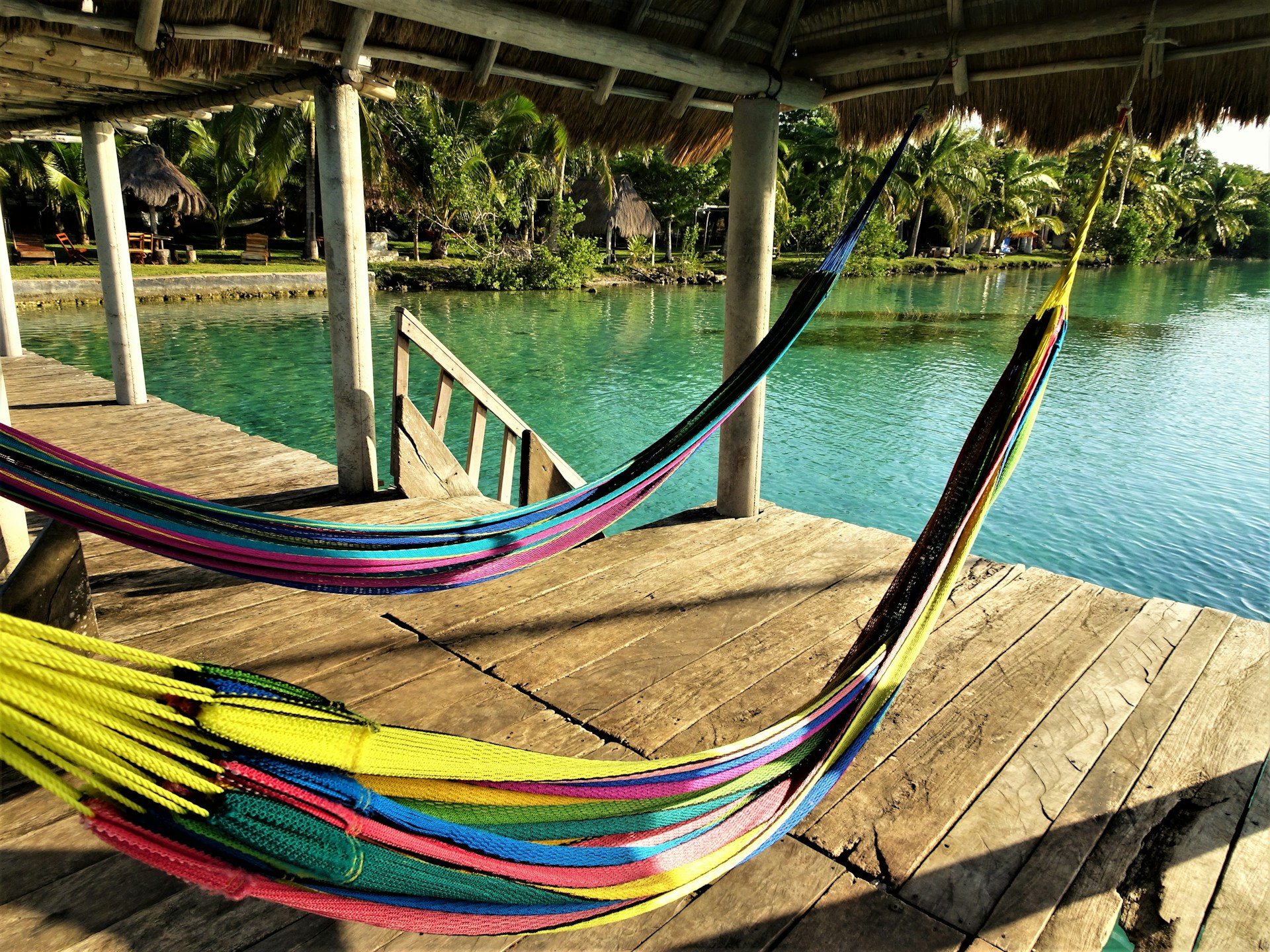 Colorful hammocks strung between palm trees with travelers relaxing and chatting in the warm afternoon sun.