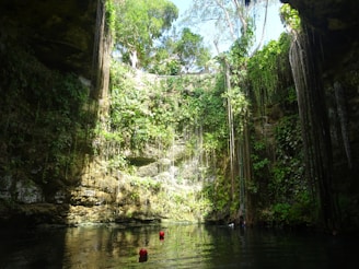 a body of water with trees around it