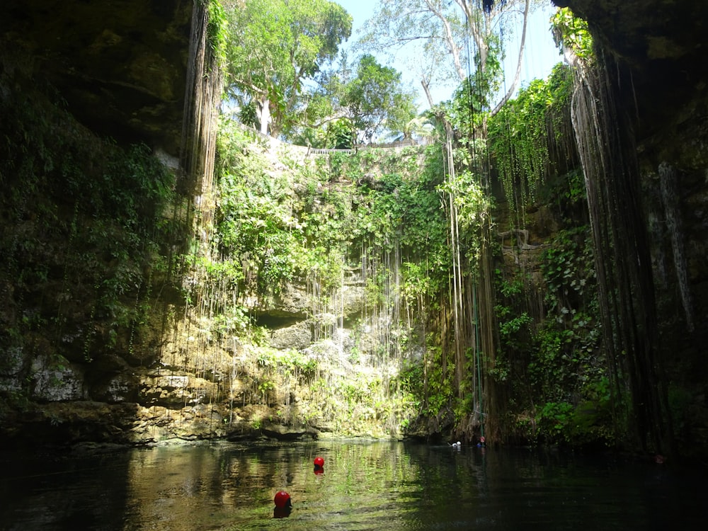 a body of water with trees around it