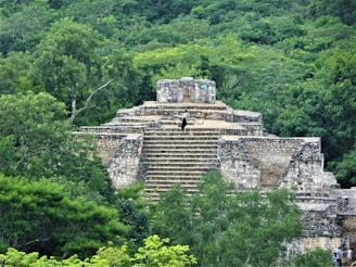 a person standing on a stone structure surrounded by trees