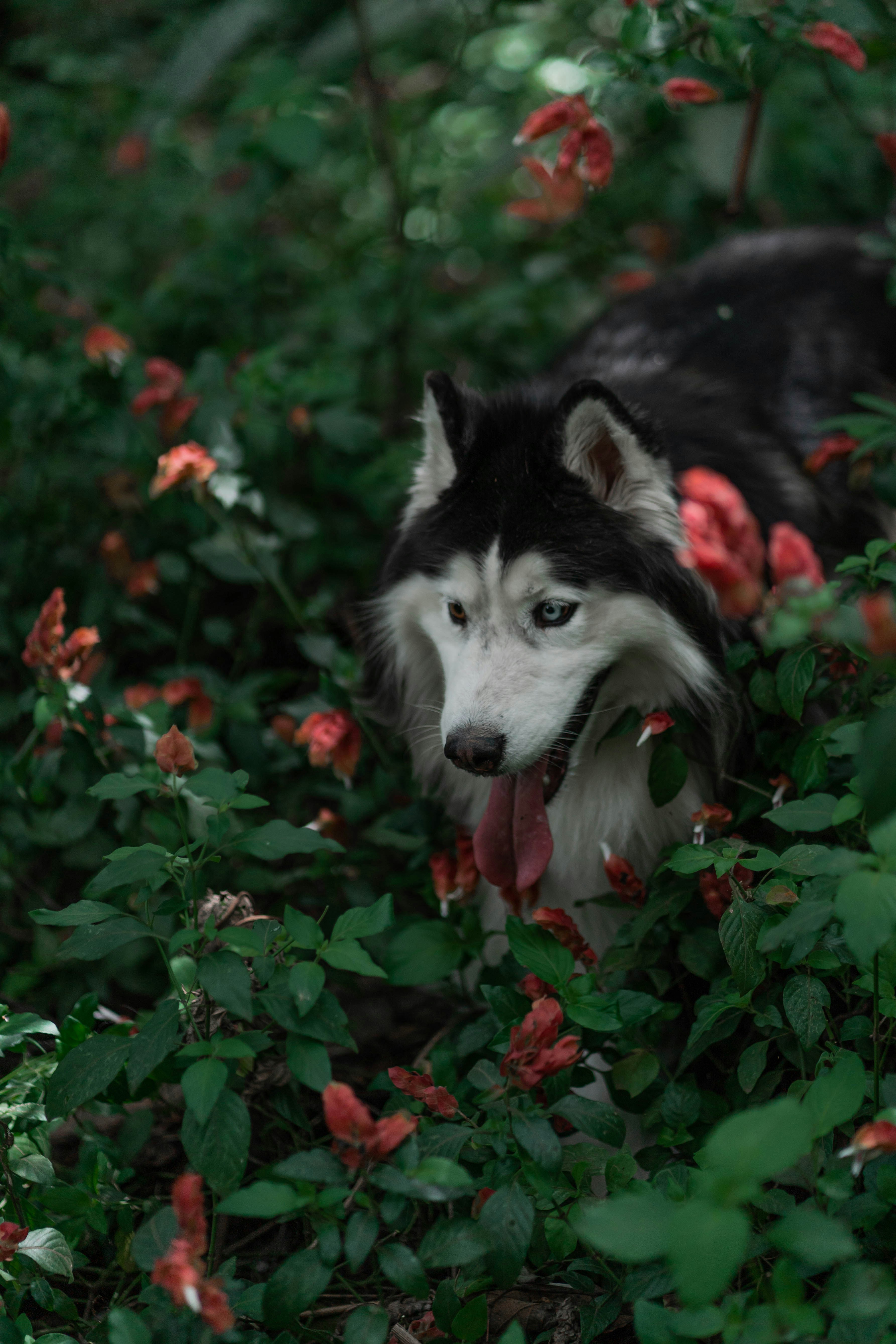Photo by wolfart32