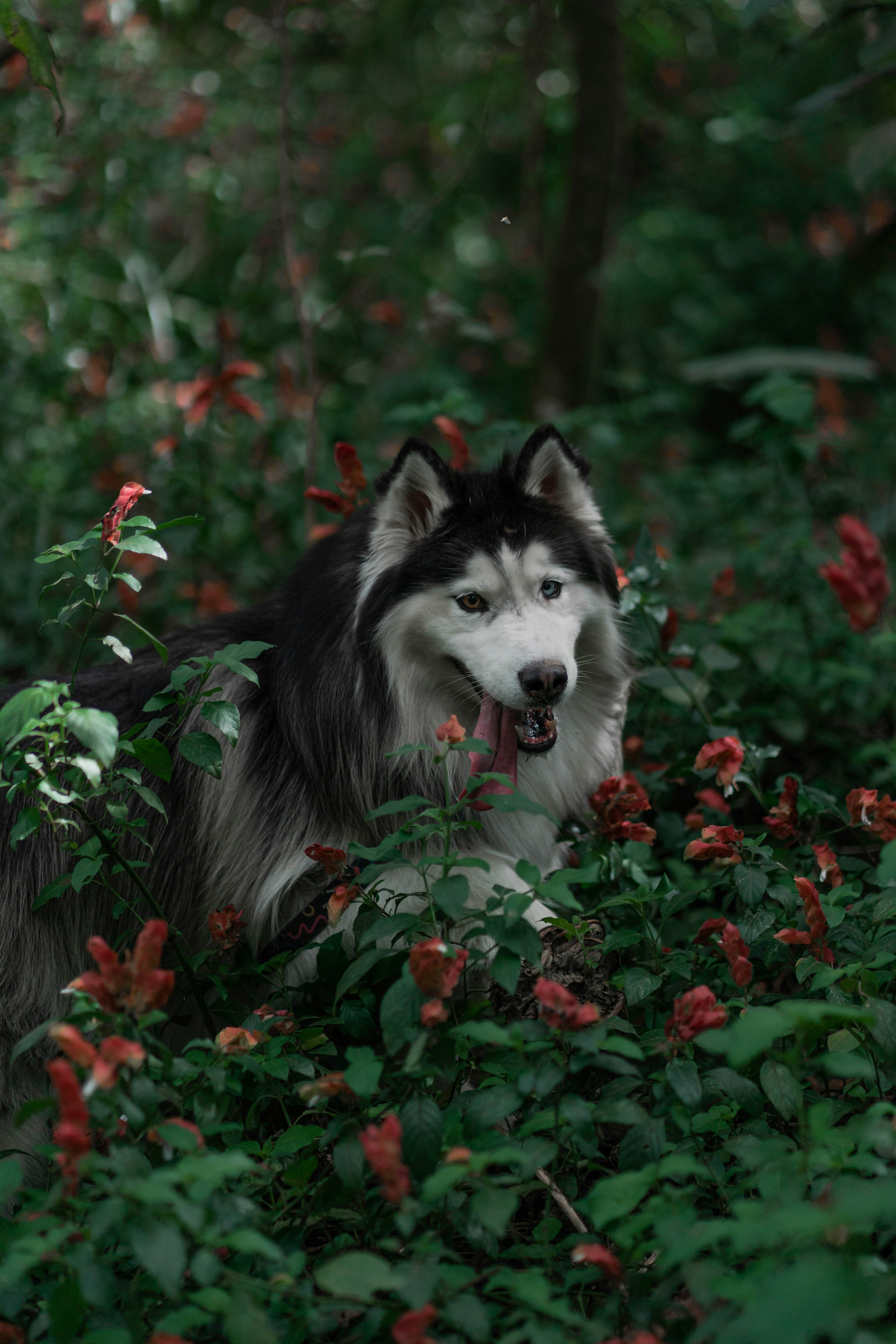 Photo by wolfart32