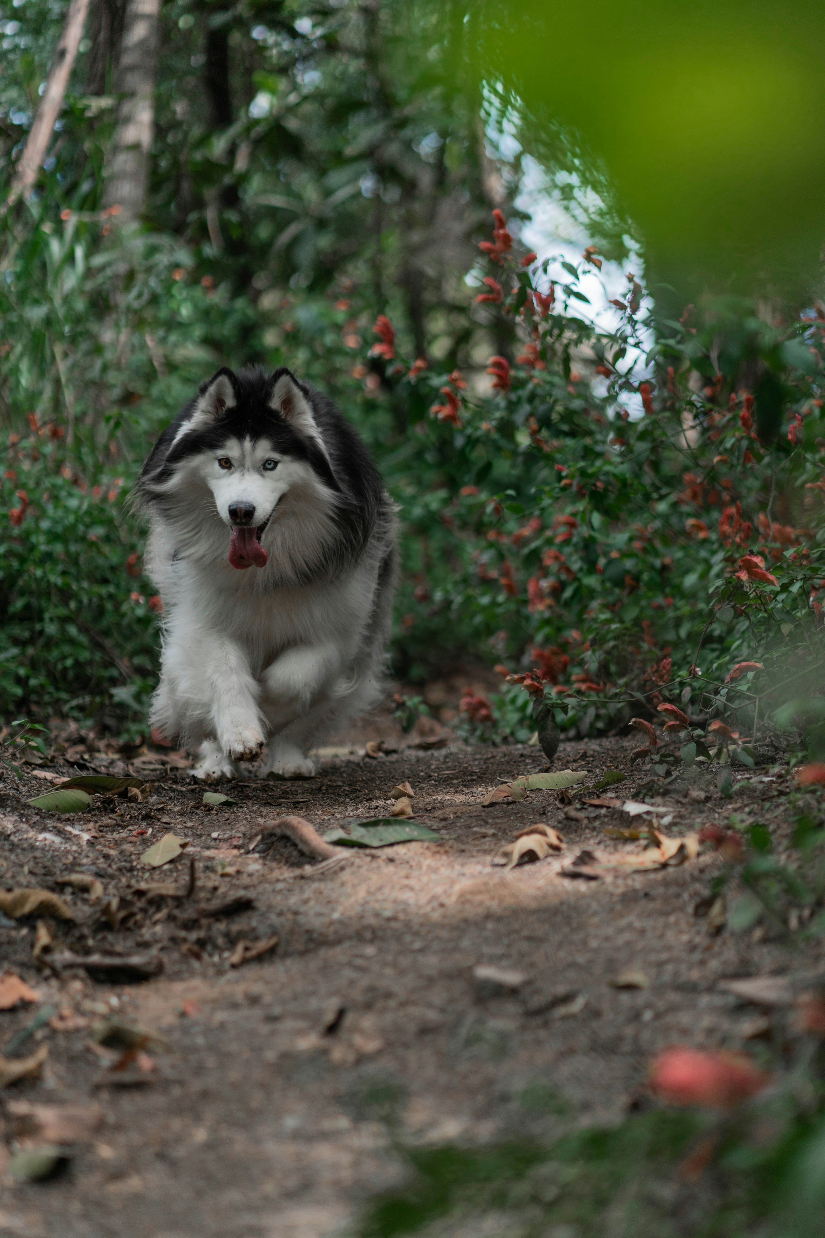 Photo by wolfart32