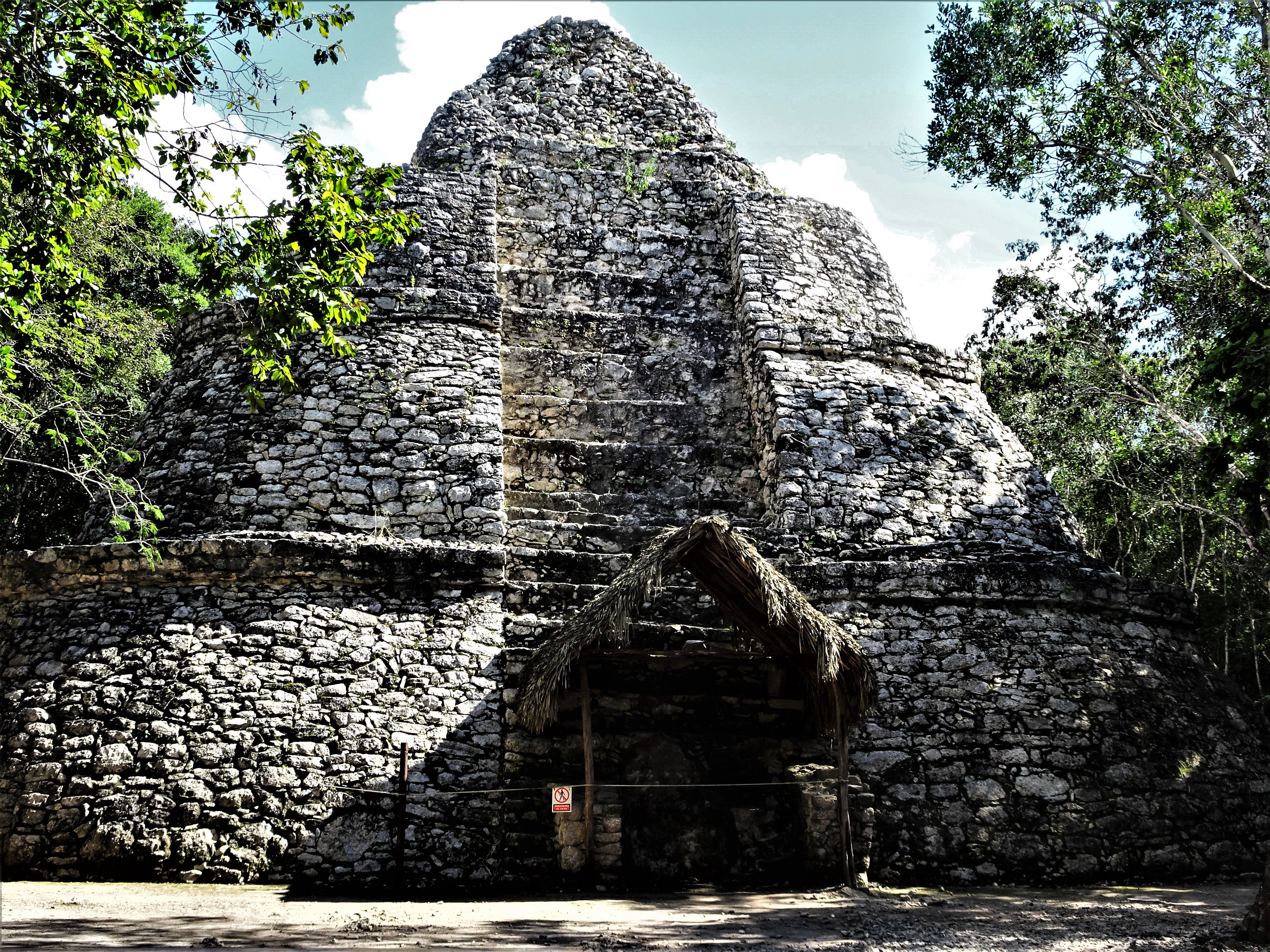 A stepped Mayan pyramid half swallowed by jungle on the Riviera Maya, roots and creepers over the stonework
