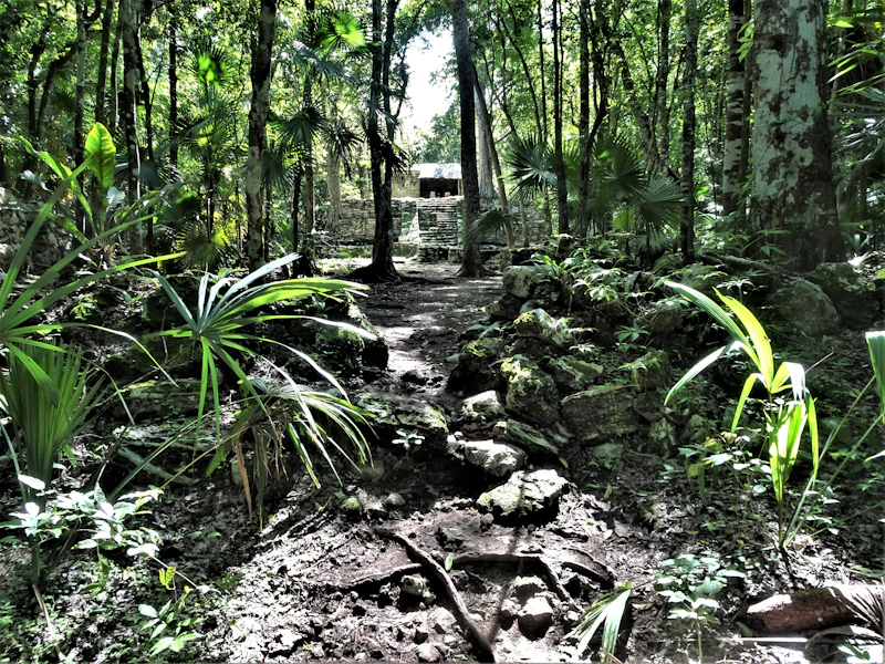 Edificios residenciales de baja altura entre vegetación tropical en la Riviera Maya
