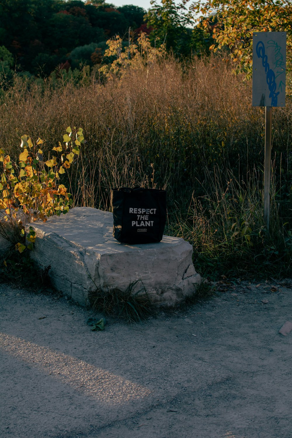 a sign next to a rock