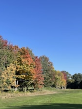 A vibrant fall-themed landscape showcasing colorful trees and well-maintained lawns.