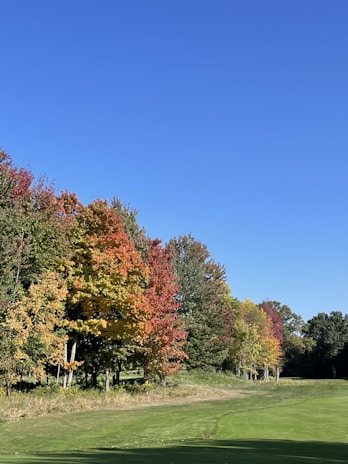 A vibrant fall-themed landscape showcasing colorful trees and well-maintained lawns.