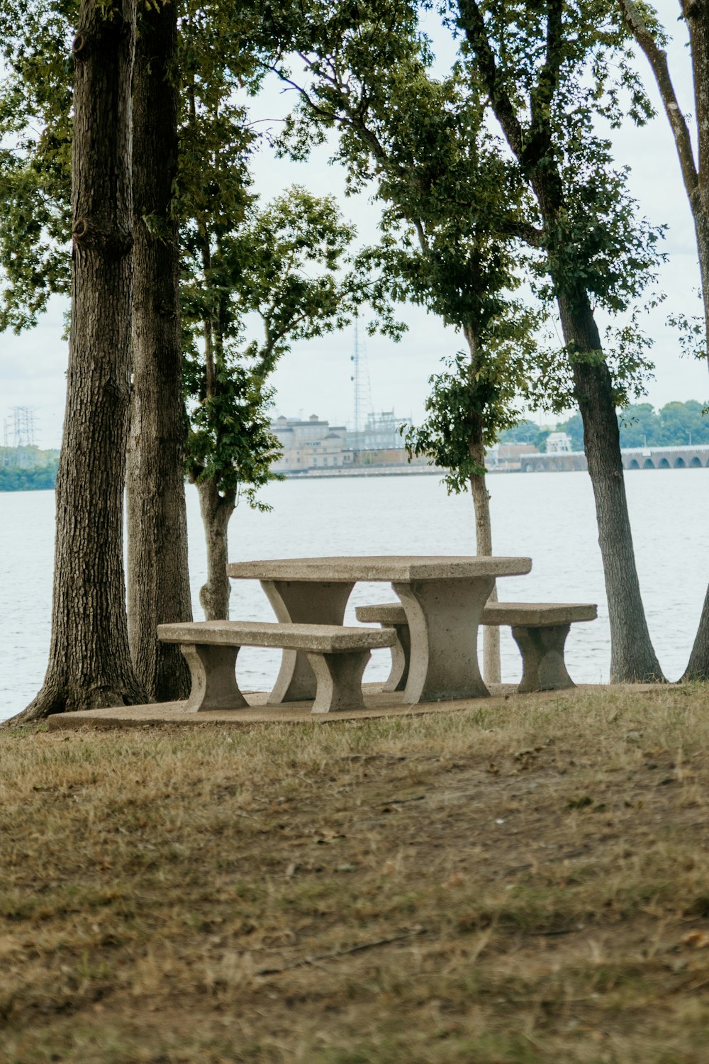 benches in a park