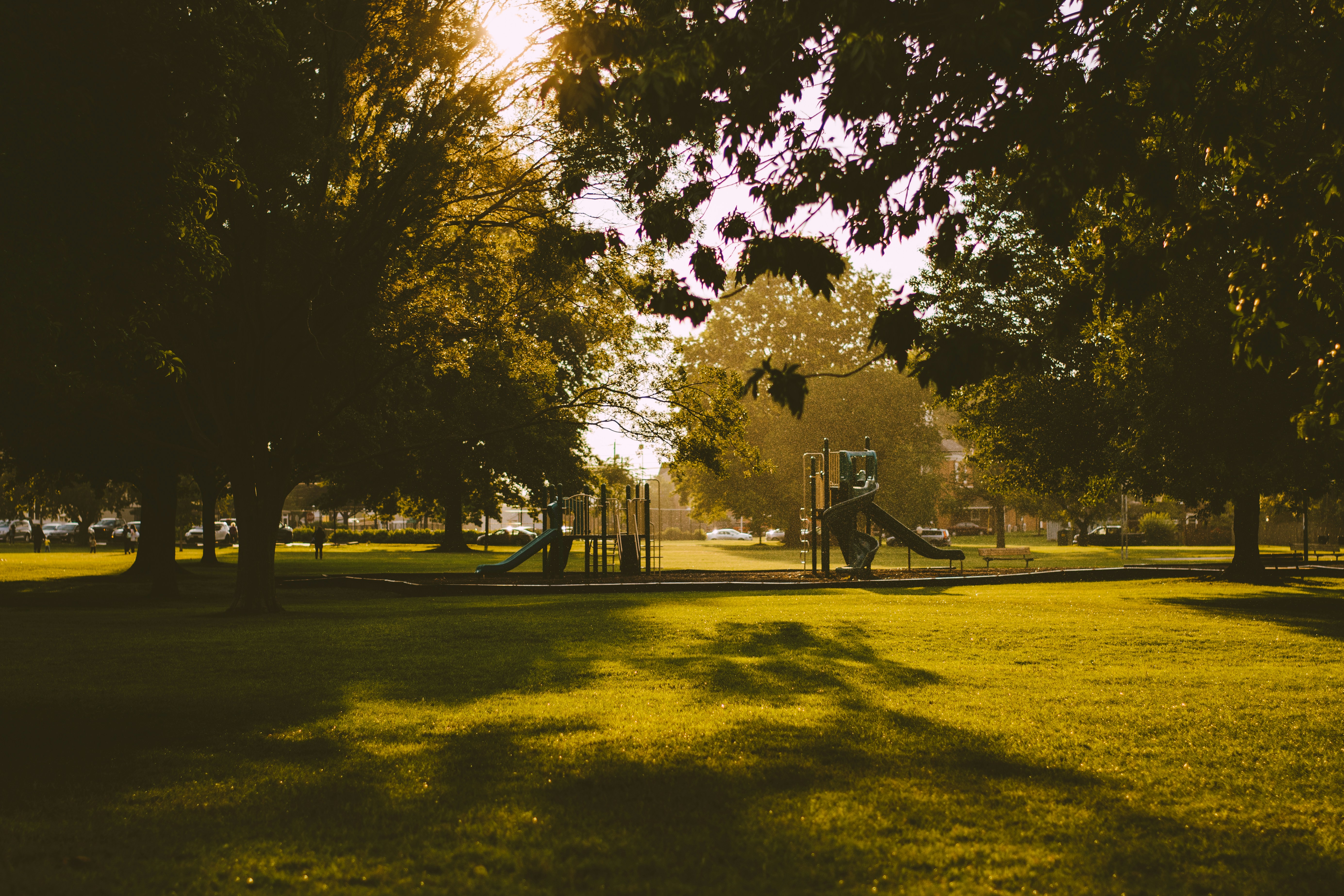 Park in the sunset in a summer day