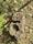 A tree stump is surrounded by grass and fallen leaves. The stump is weathered with distinct growth rings and a hollow center, while the leaves are a mix of green, brown, and reddish hues.