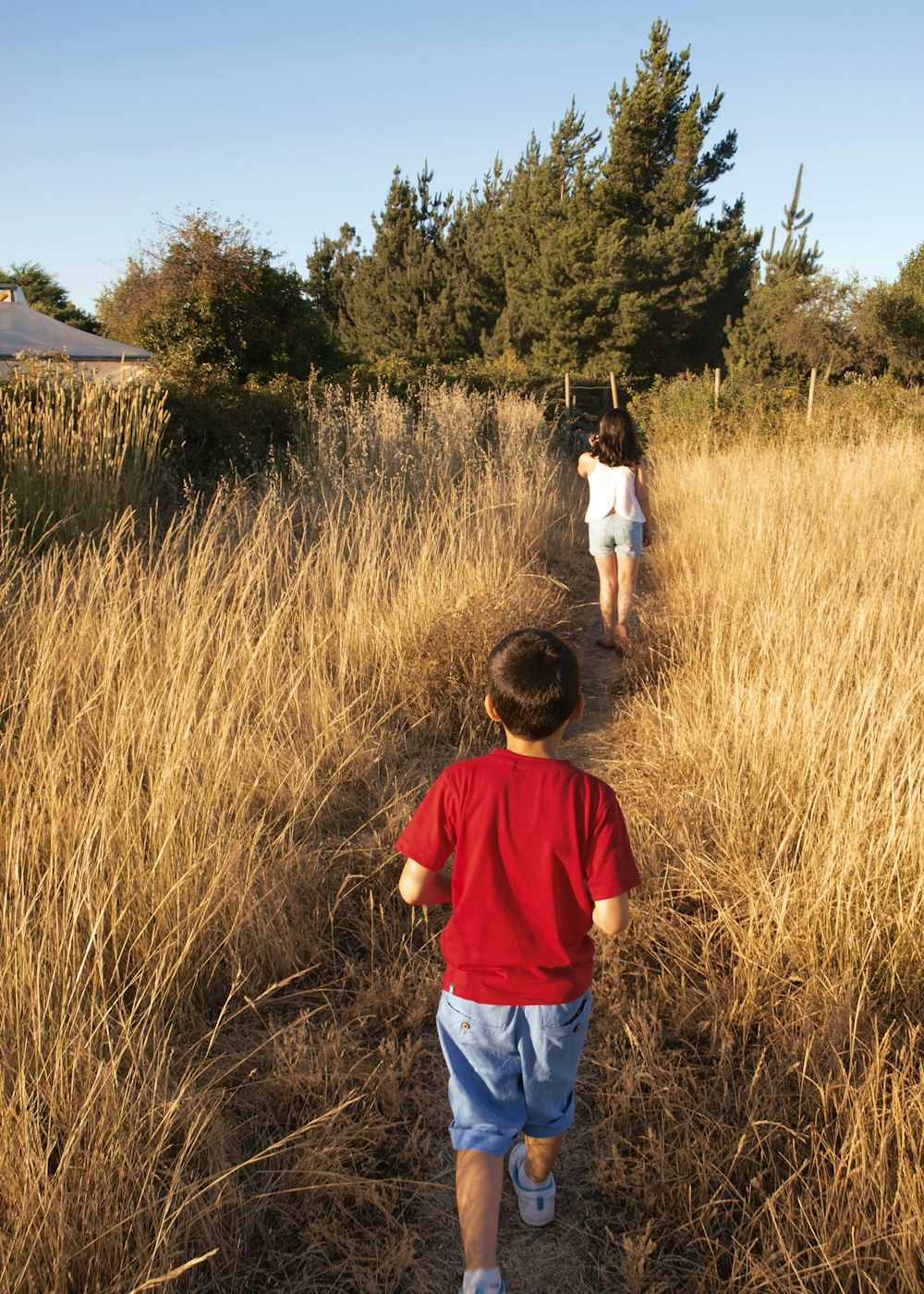 a boy and girl walking through tall grass