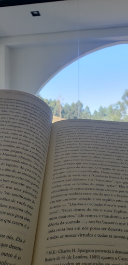 An open book with text is in the foreground, with pages spread wide. Beyond the book, a large arched window provides a view of a clear blue sky and a row of tall, green trees creating a serene backdrop.