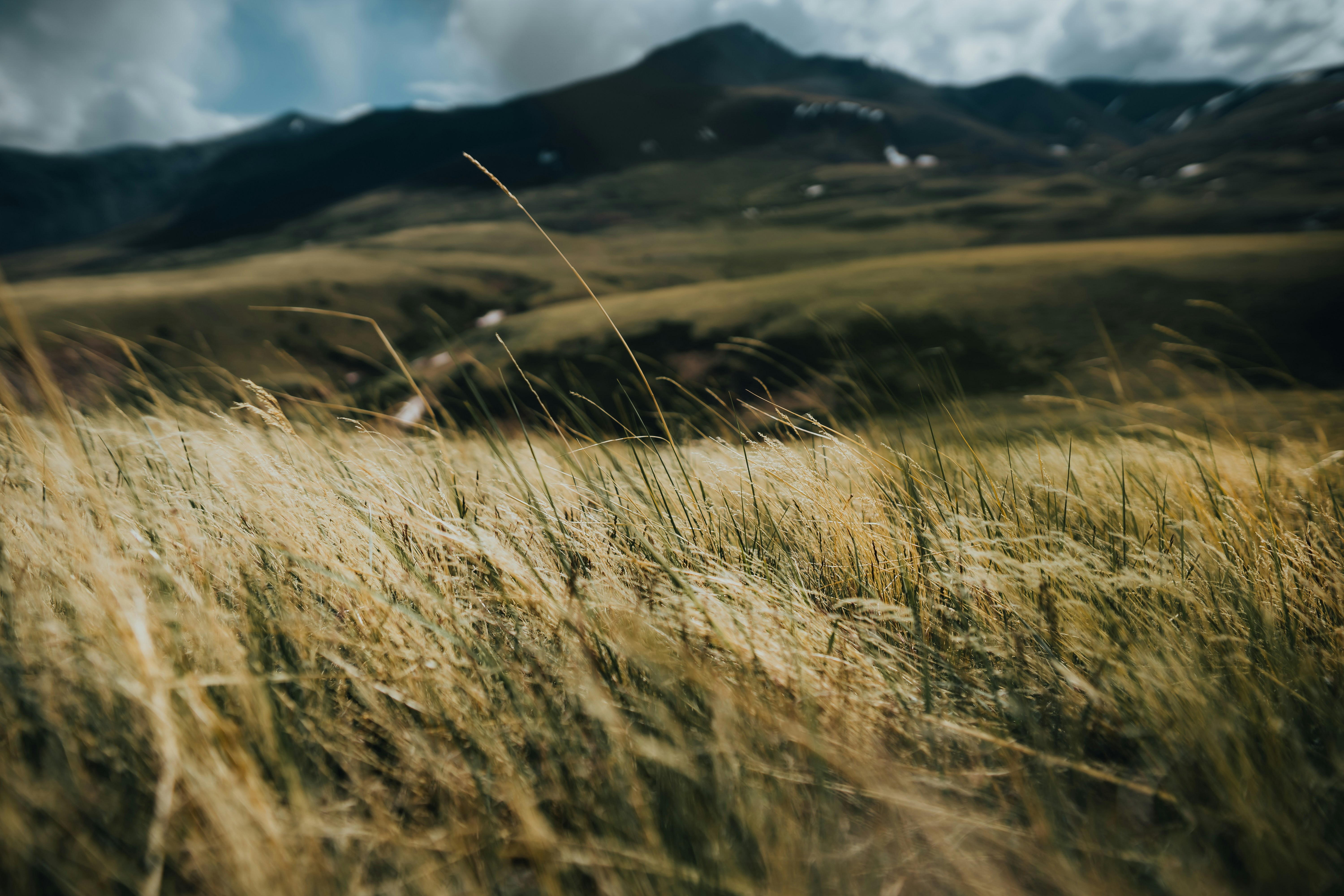 Photo by n_rayevskaya