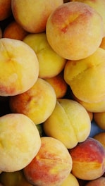 A collection of ripe peaches with a soft, fuzzy skin, displaying a gradient of warm colors ranging from pale yellow to deep orange-red hues.