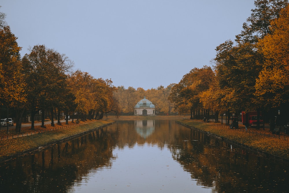 a body of water with trees around it