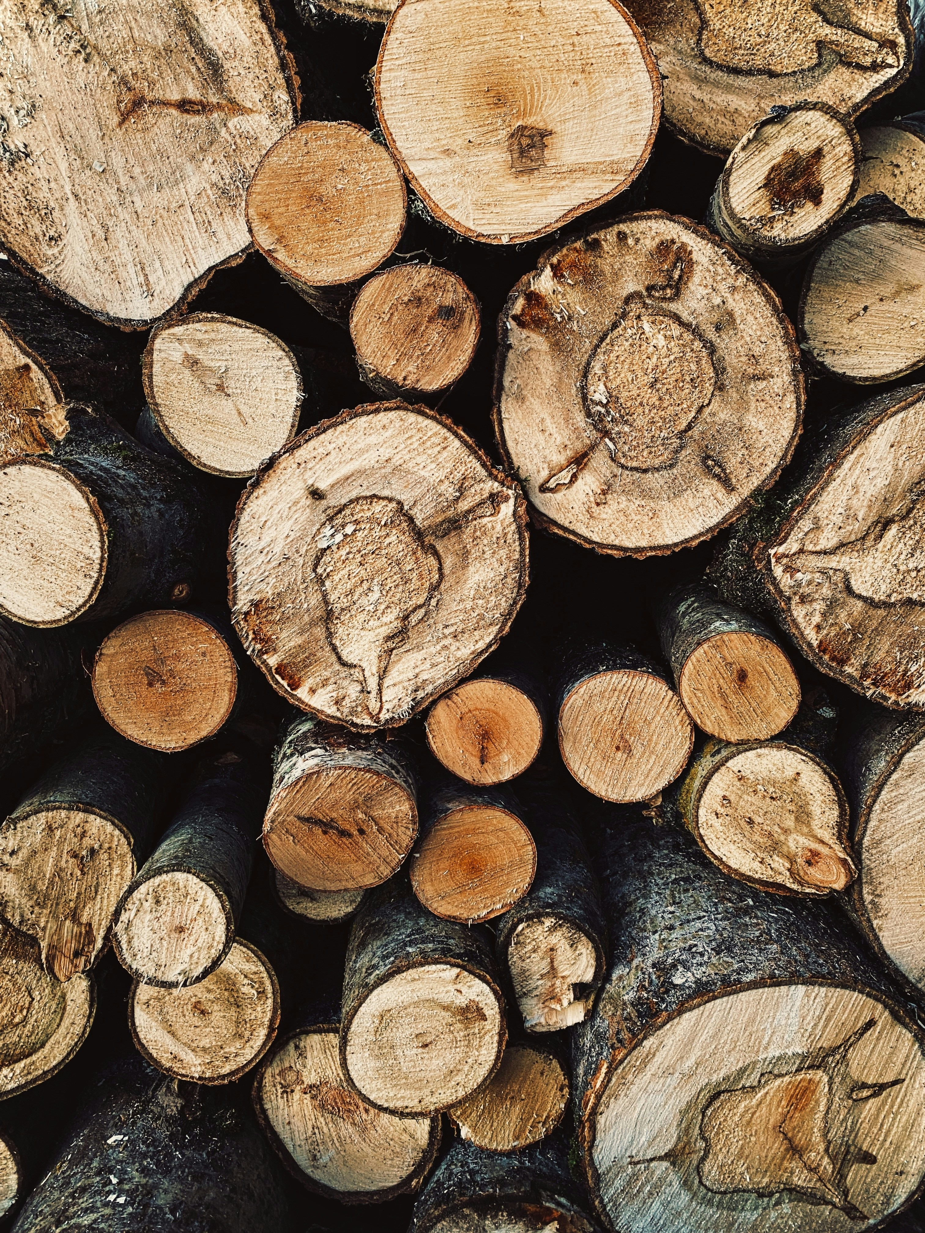 Photo by eugene_golovesov