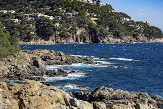 a rocky coast line