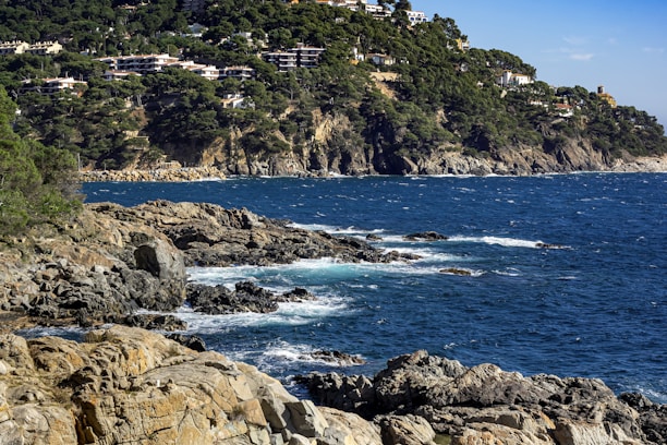 a rocky coast line