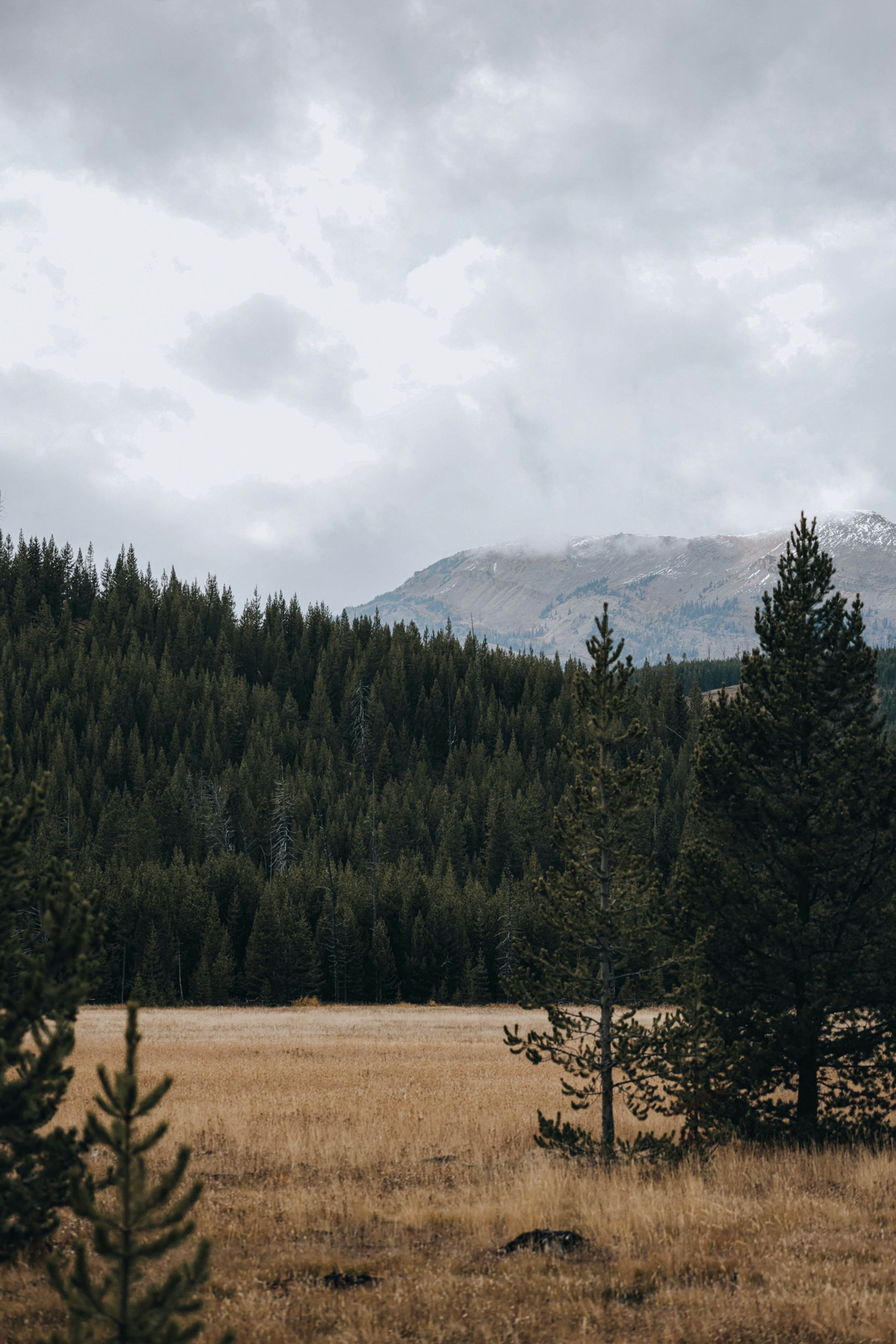 Photo by isaactmitchell