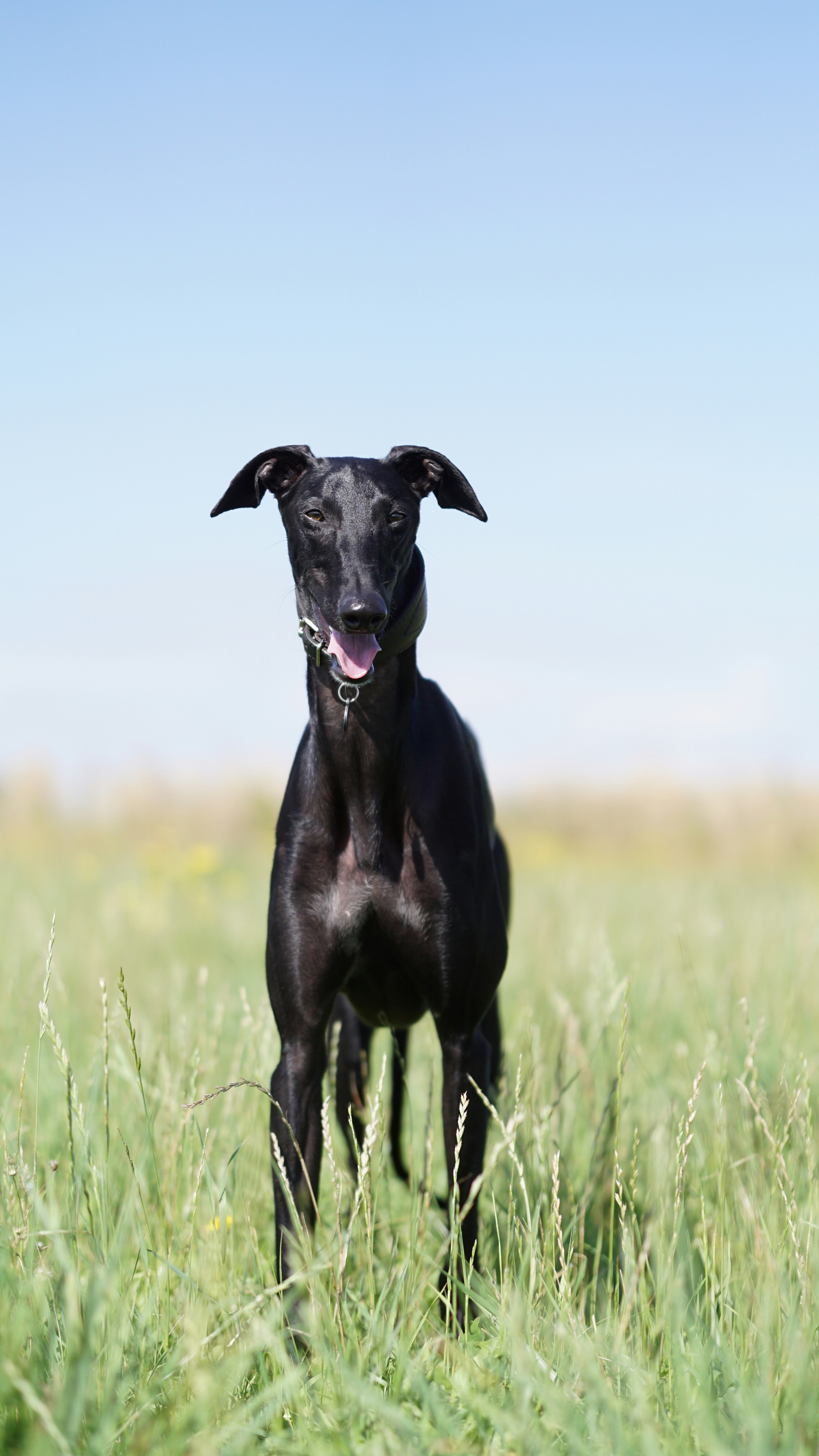 Photo by annadudkova