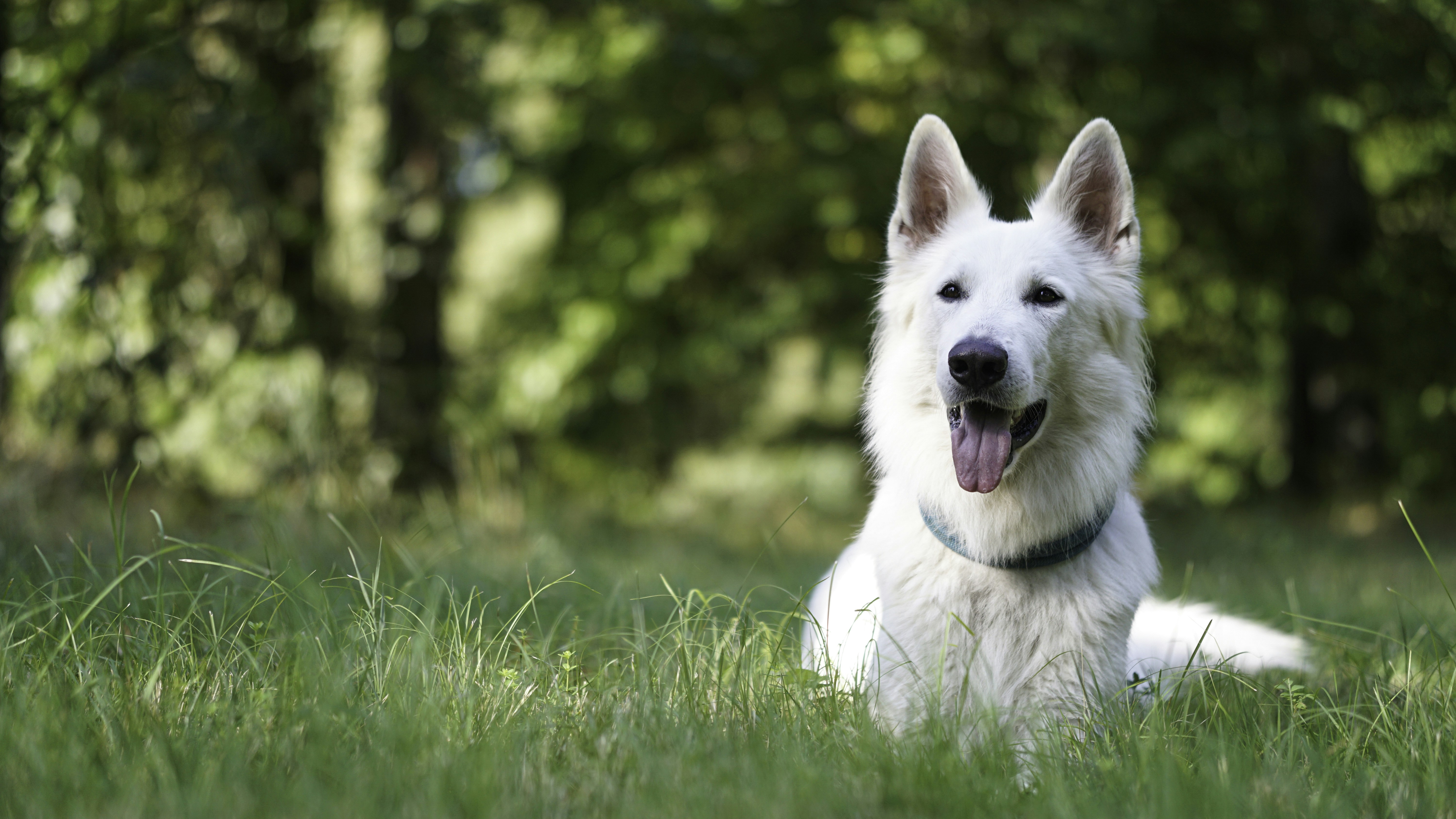 Photo by annadudkova