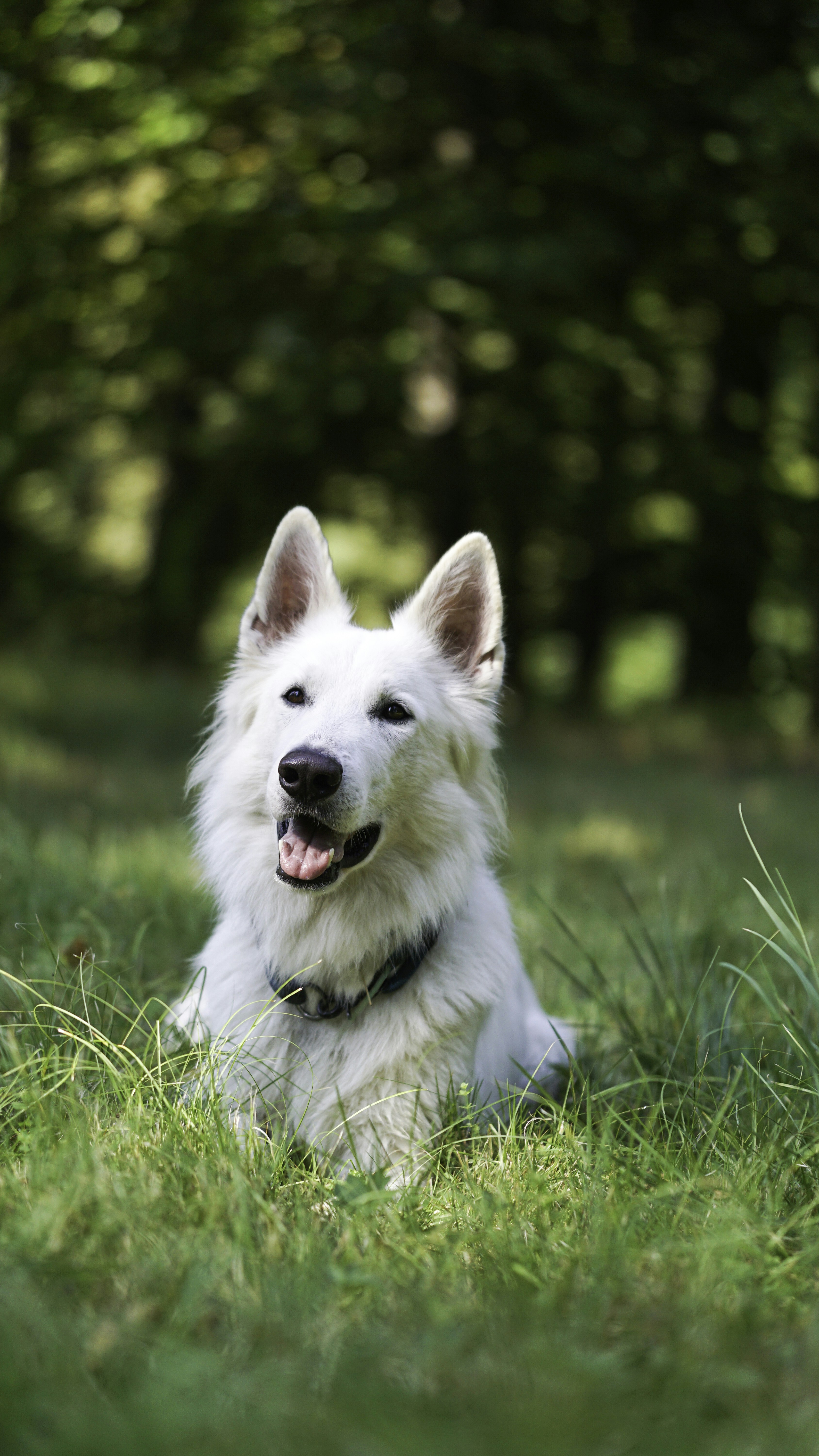 Photo by annadudkova