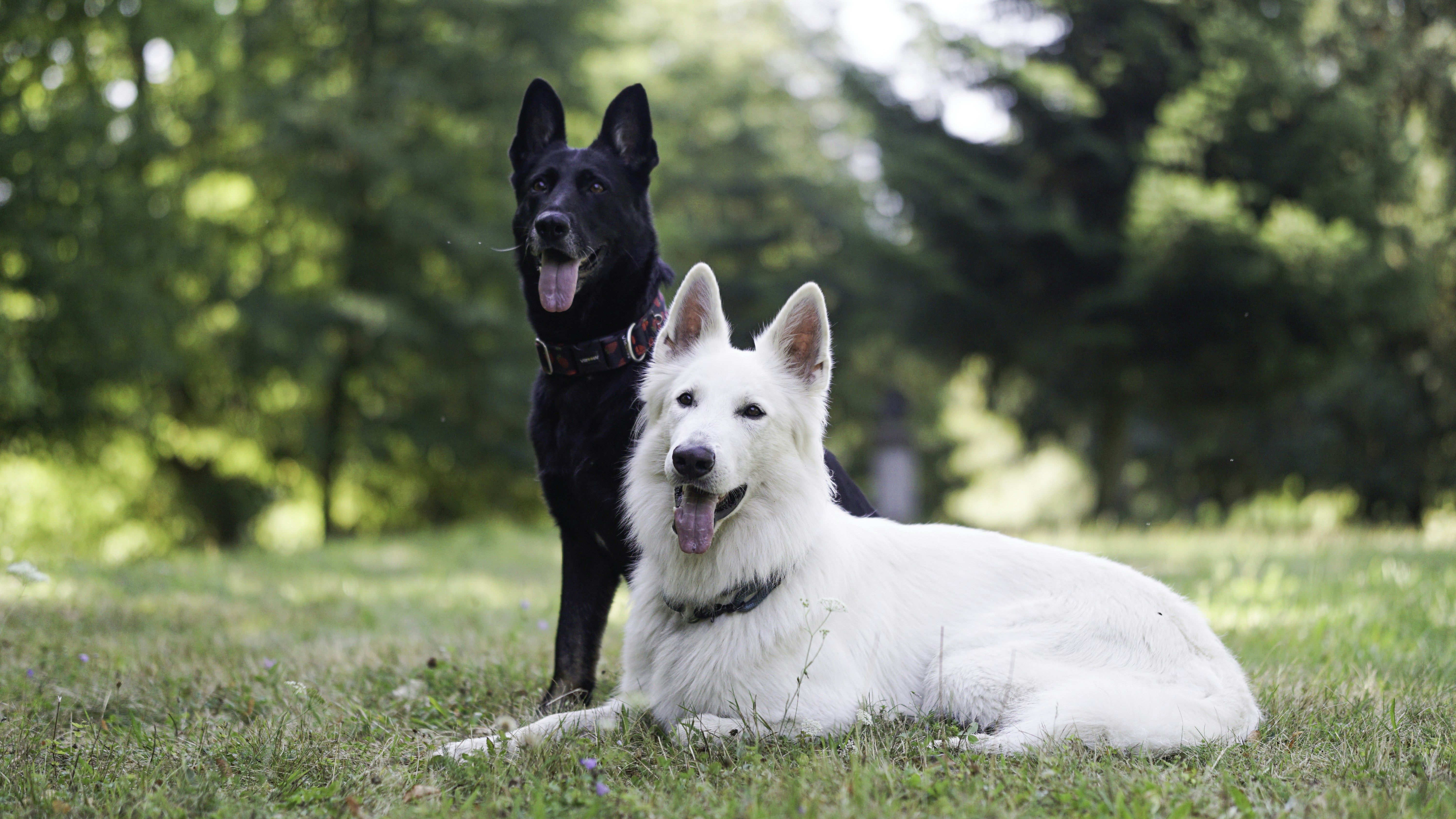 Photo by annadudkova