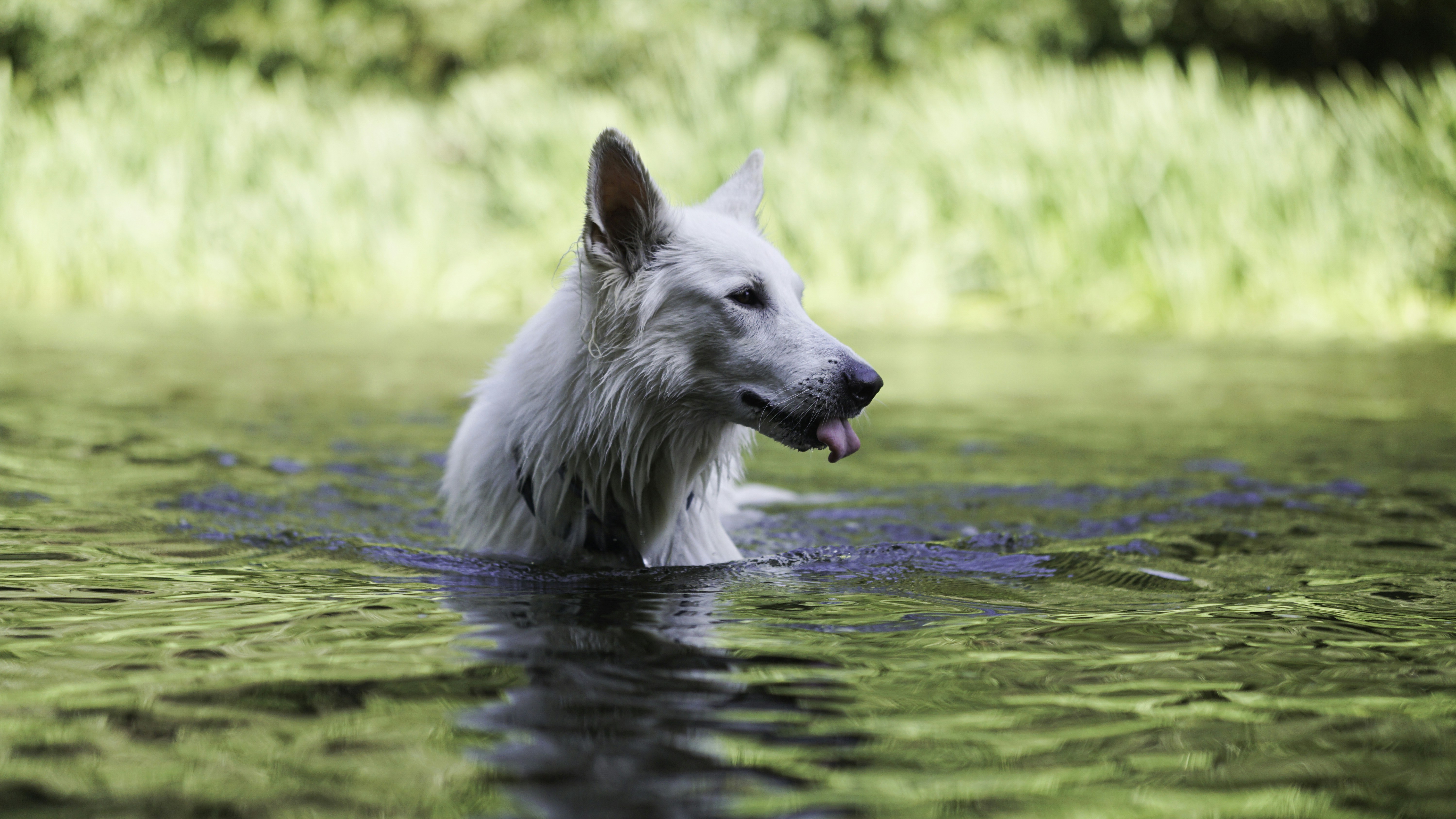Photo by annadudkova