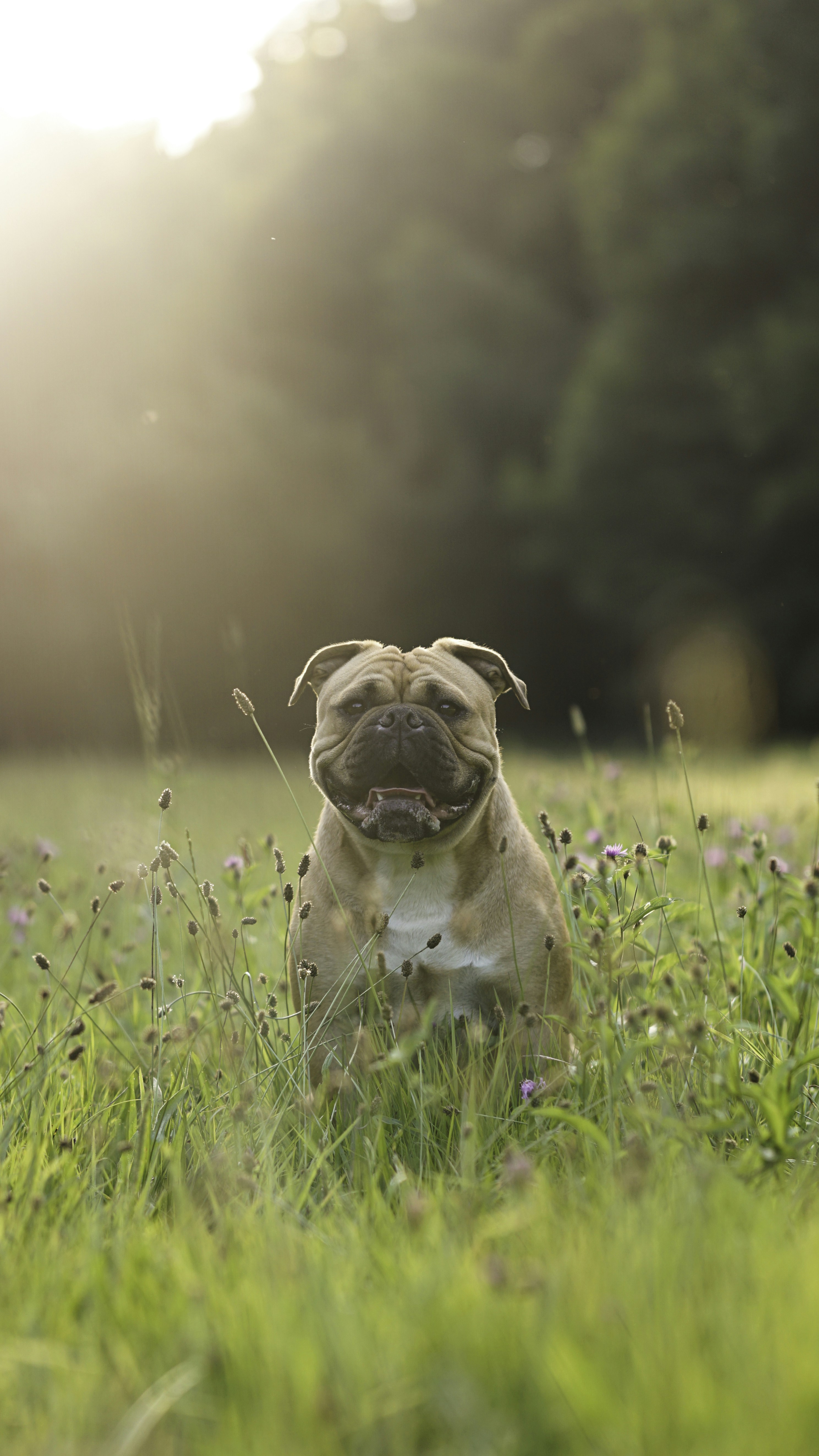 Photo by annadudkova