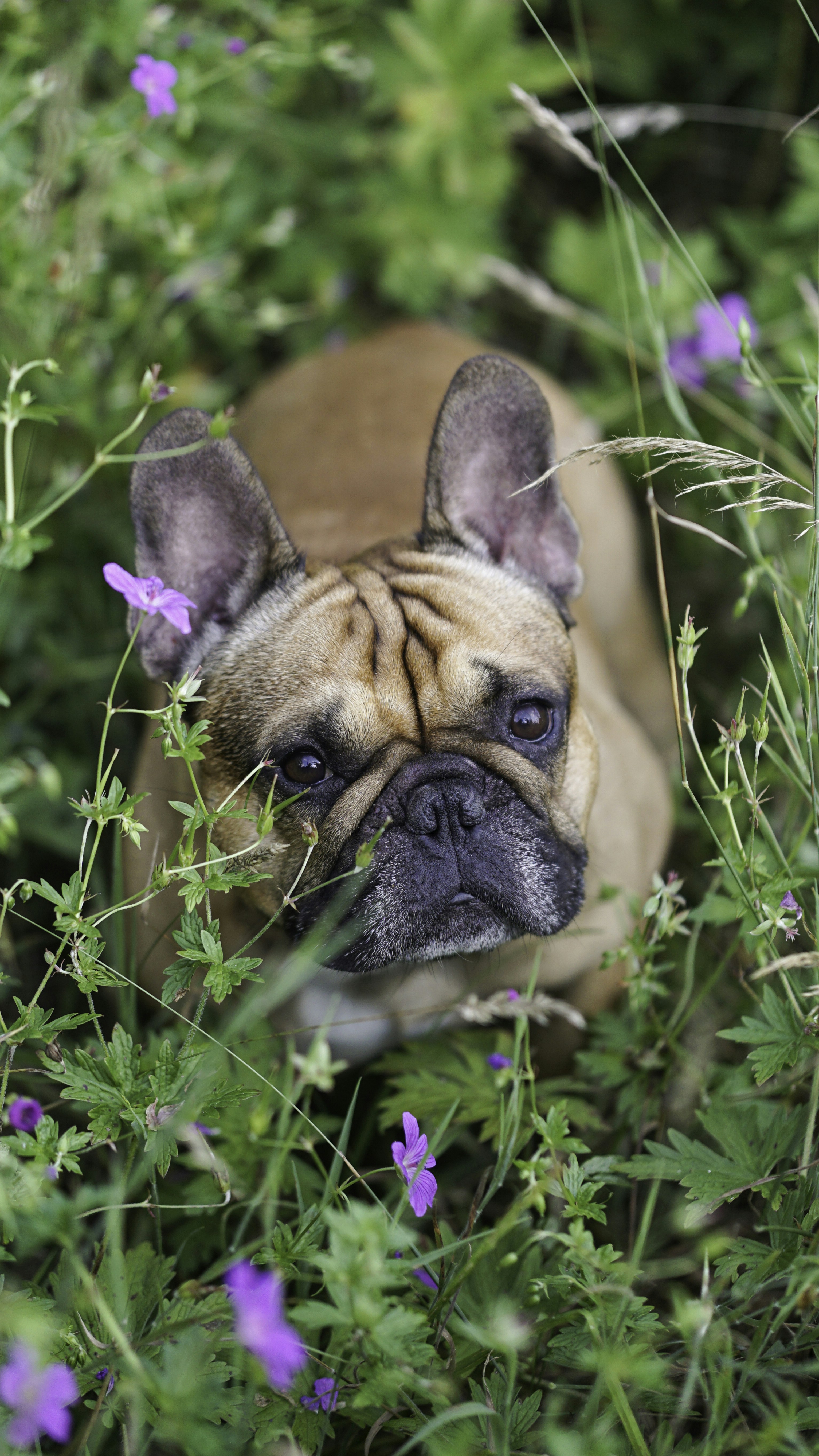 Photo by annadudkova