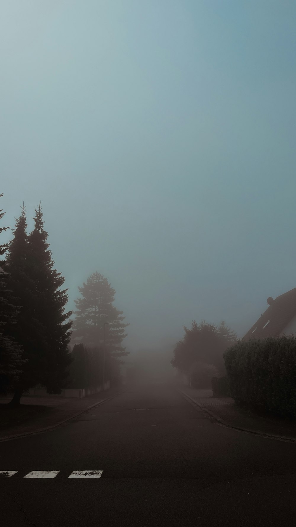 a road with trees on the side