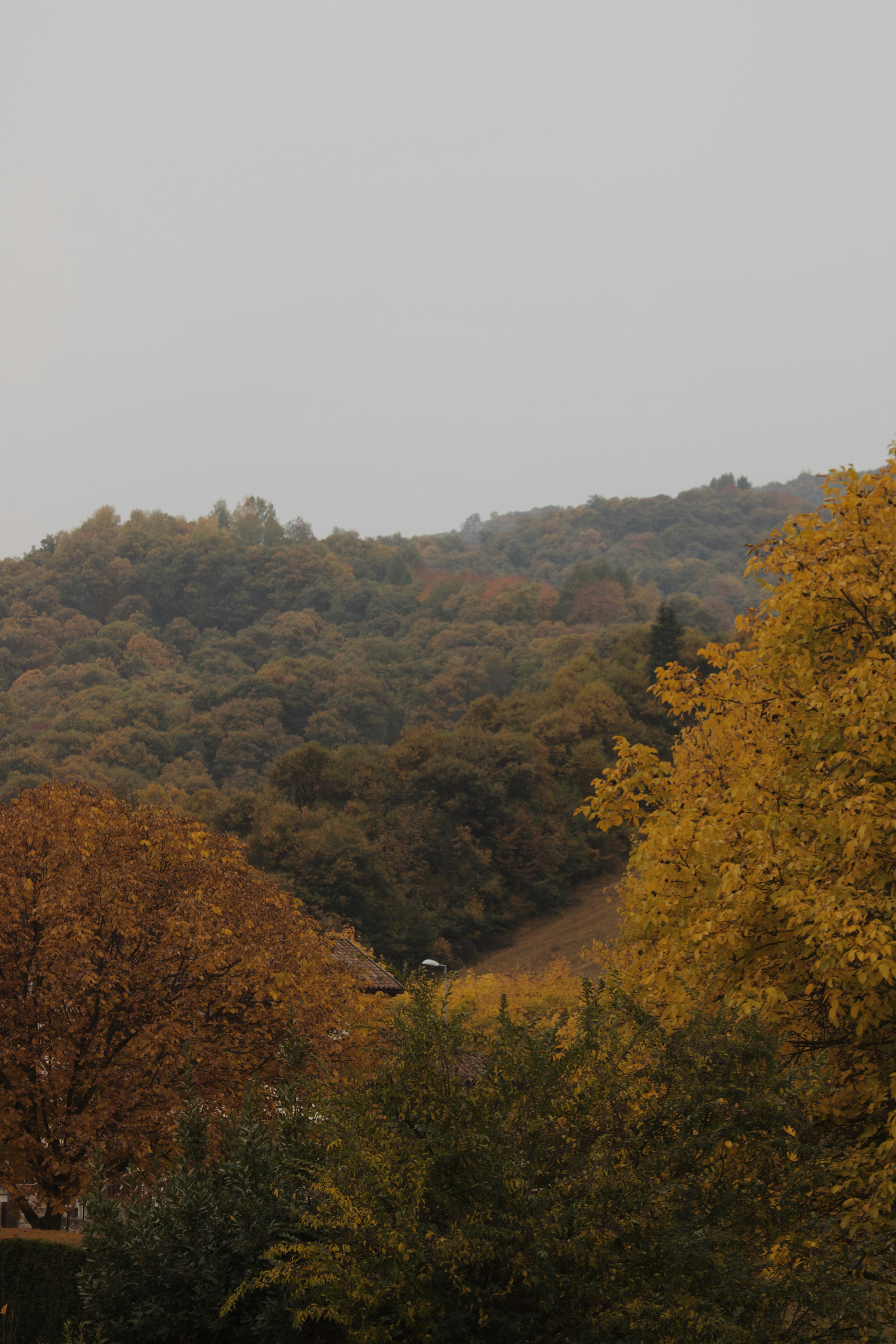 Photo by gabrielepani