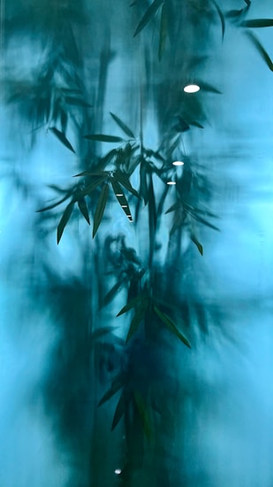 Blurred silhouettes of bamboo leaves are visible against a gradient blue background, creating an ethereal and calming effect.