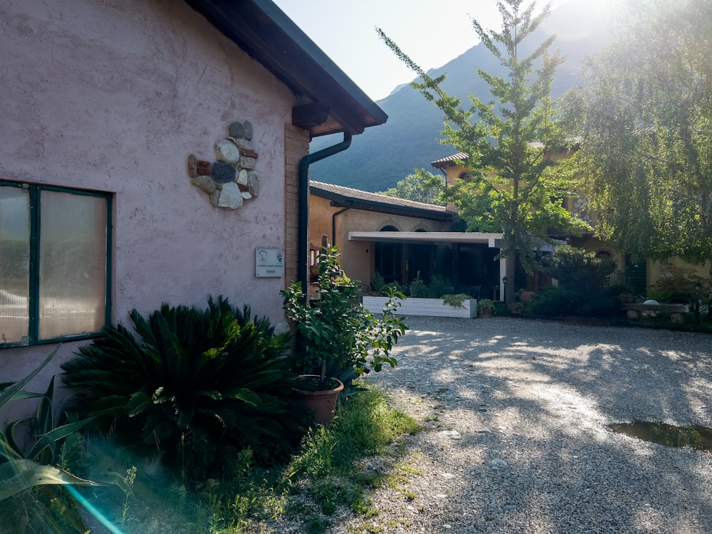 a house with a driveway and trees