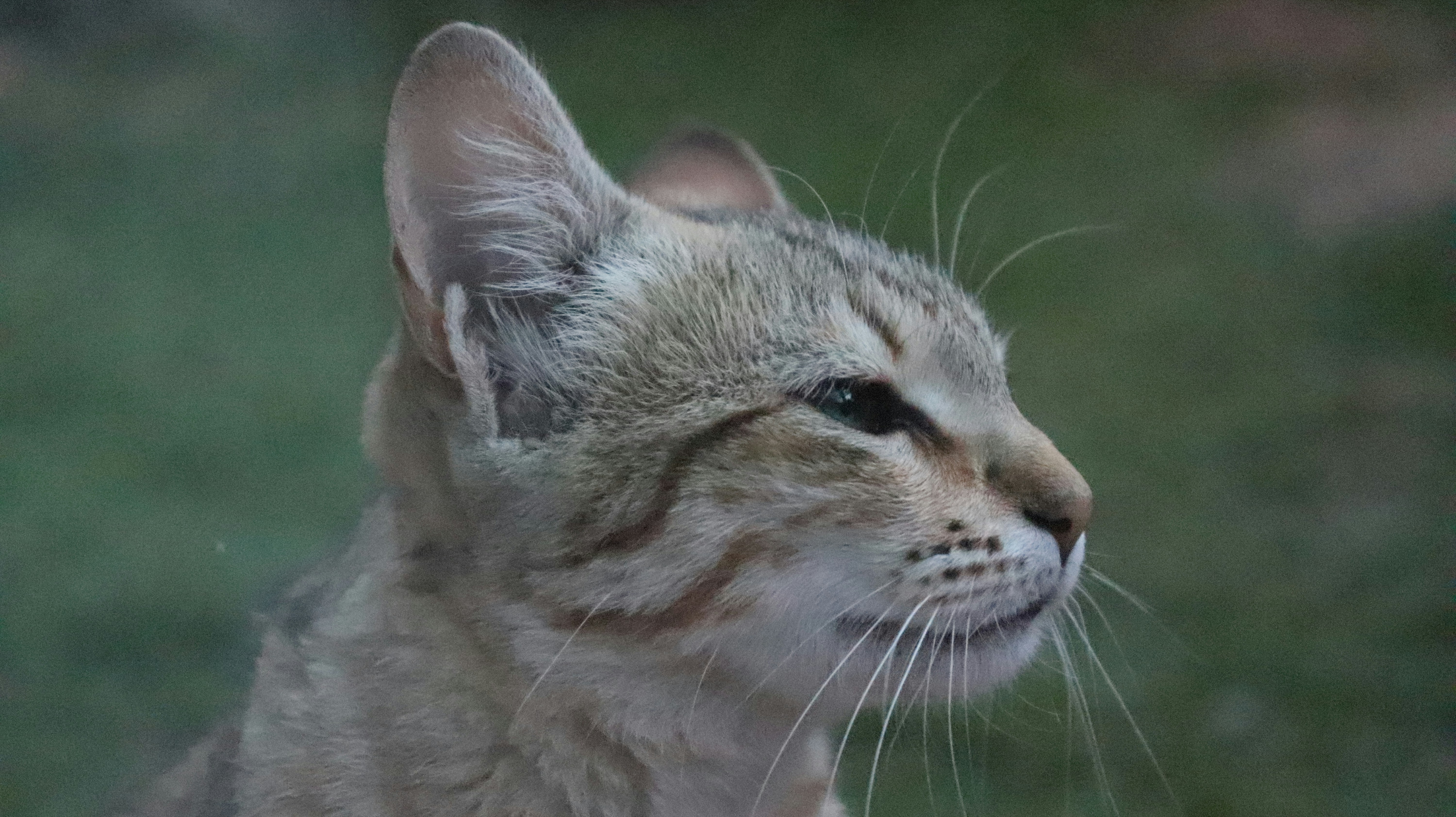 The Emotional Impact (image credits: unsplash)