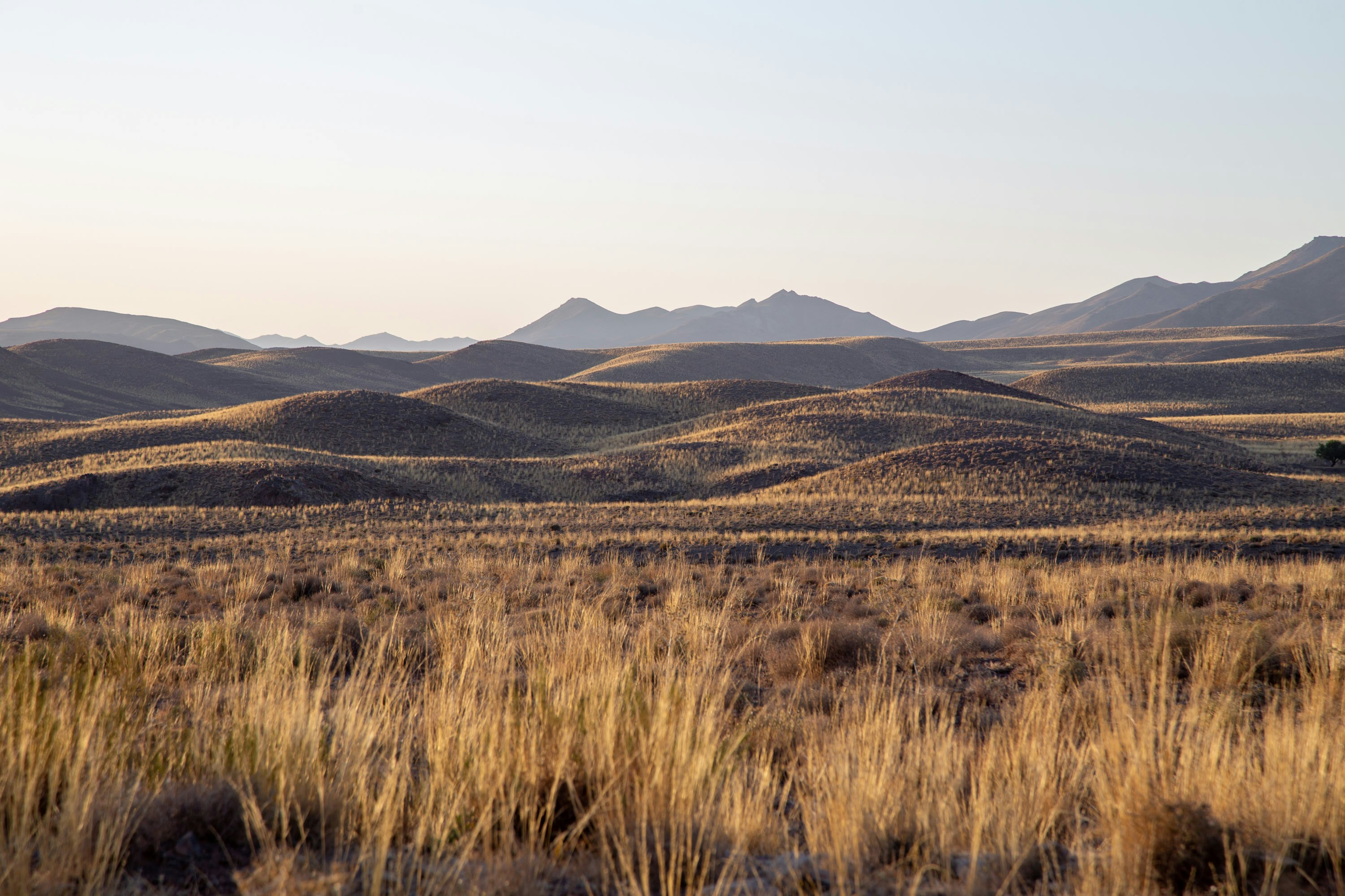 Photo by adventurous_artist