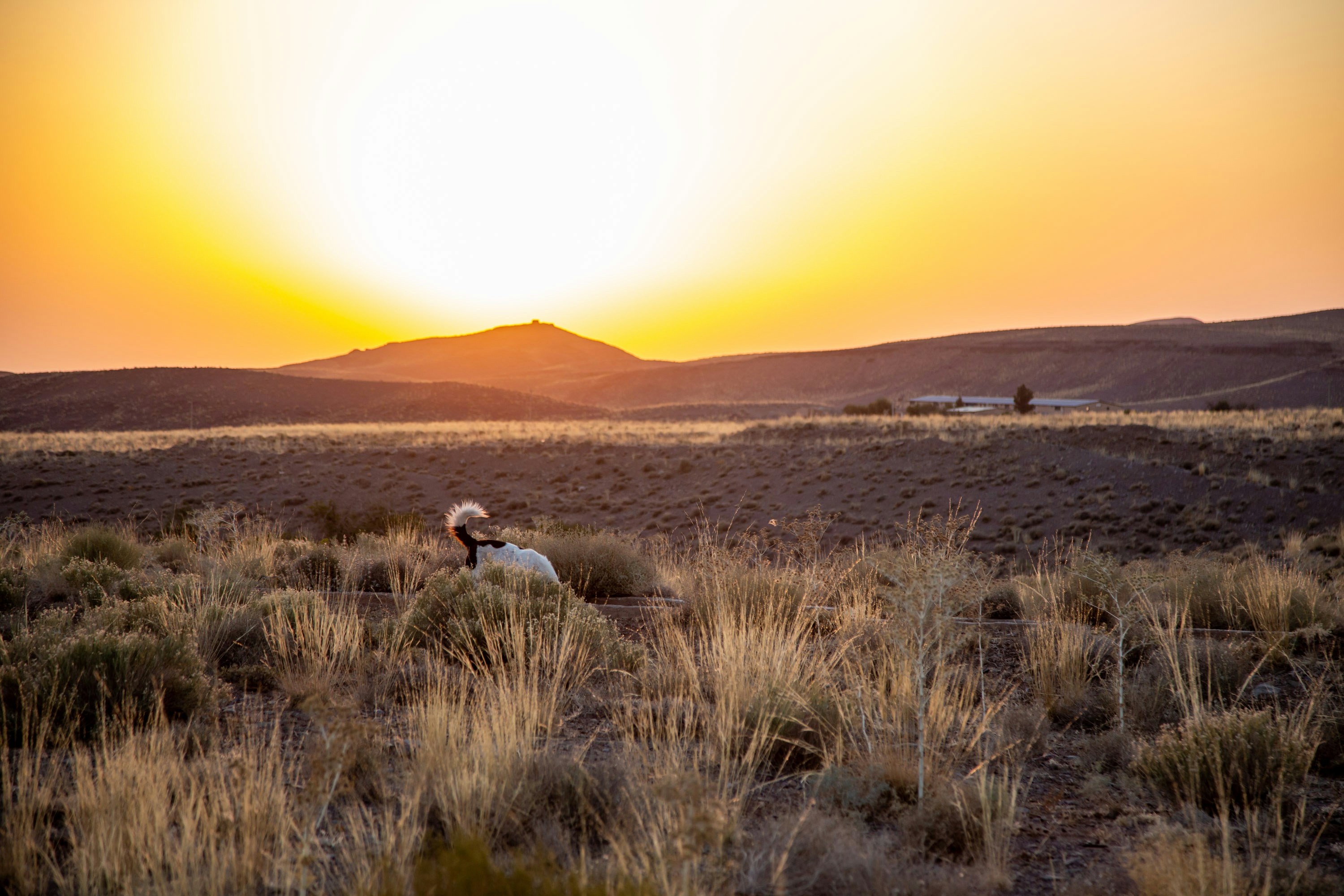 Photo by adventurous_artist